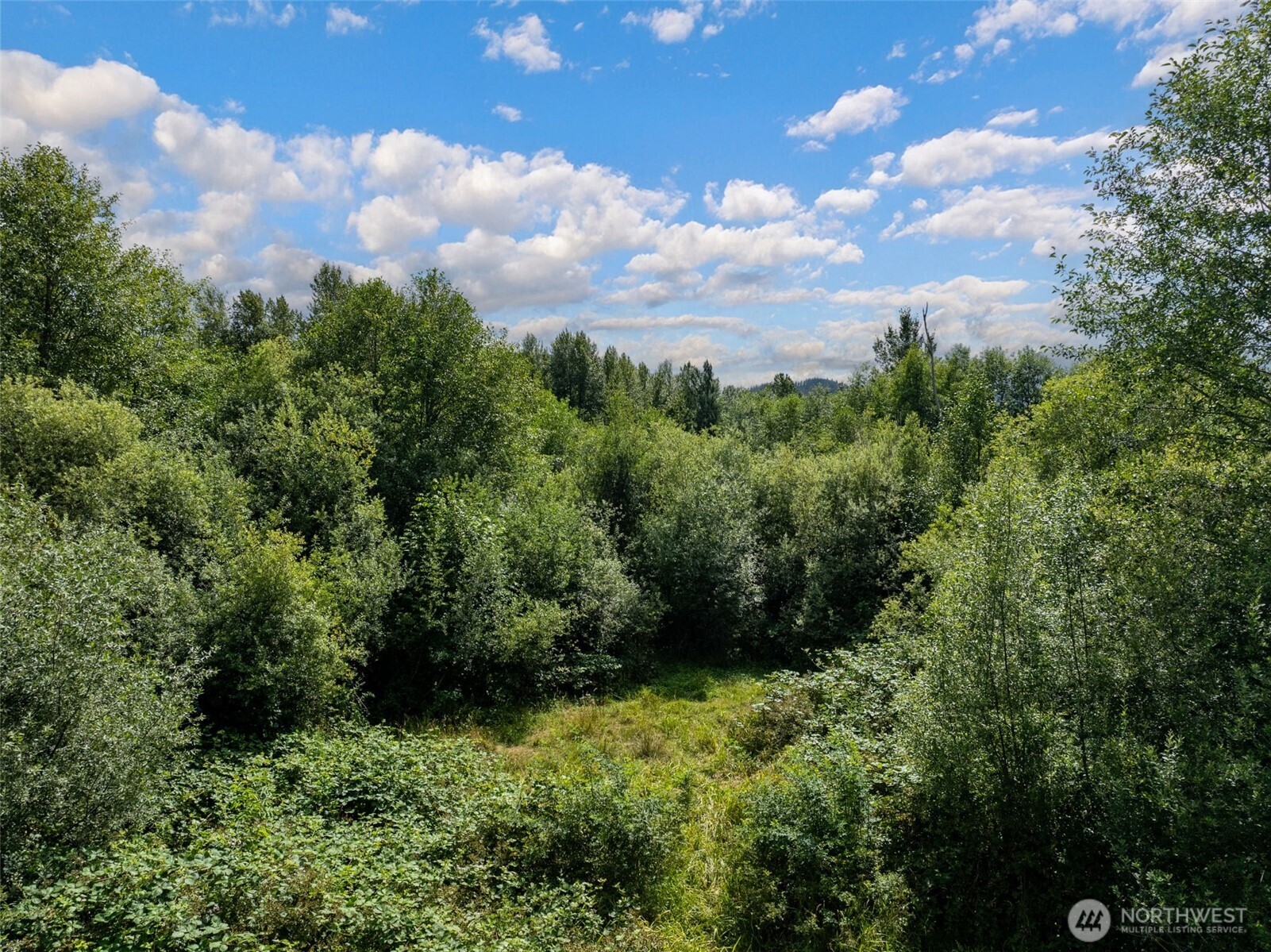 28901 State Route 706 Property Photo 4