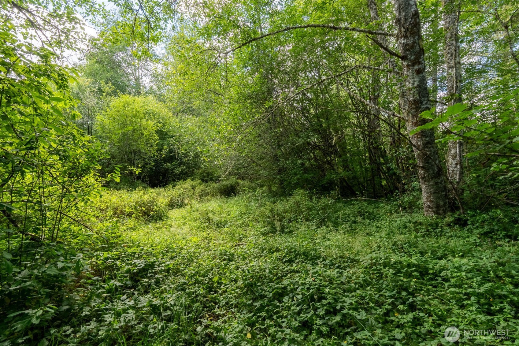 28901 State Route 706 Property Photo 10