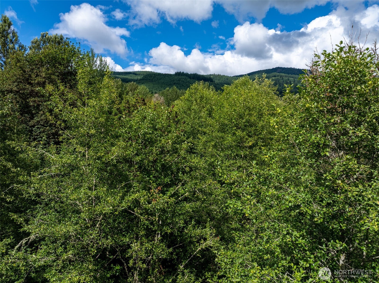28901 State Route 706 Property Photo 11