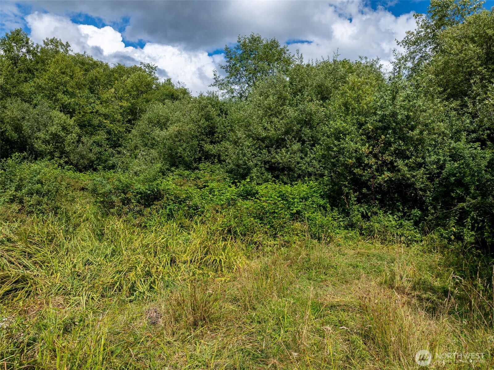 28901 State Route 706 Property Photo 12