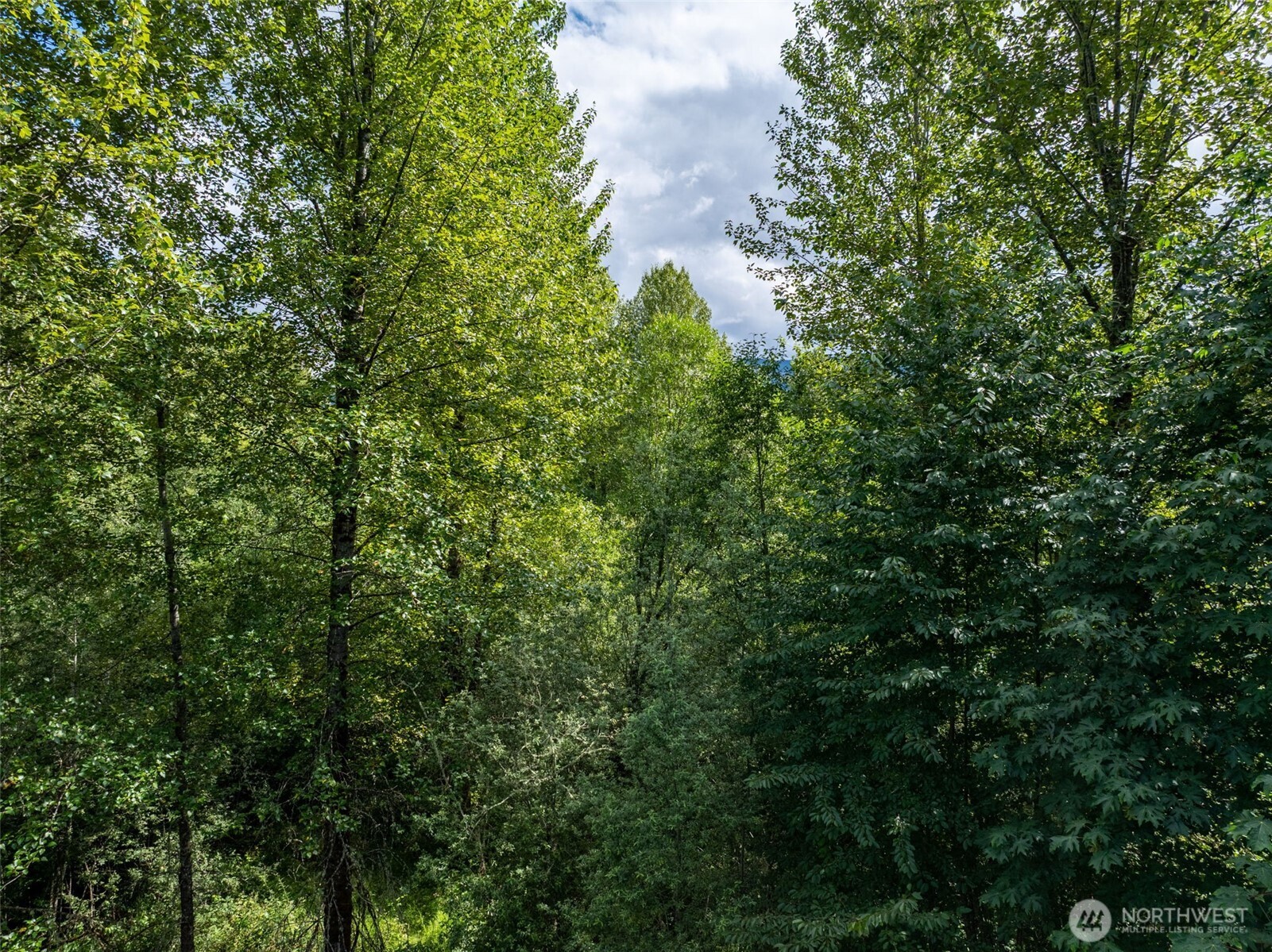 28901 State Route 706 Property Photo 13