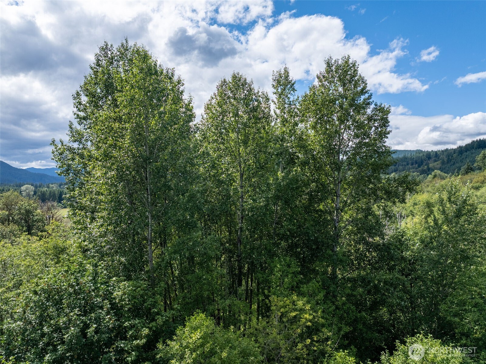 28901 State Route 706 Property Photo 14
