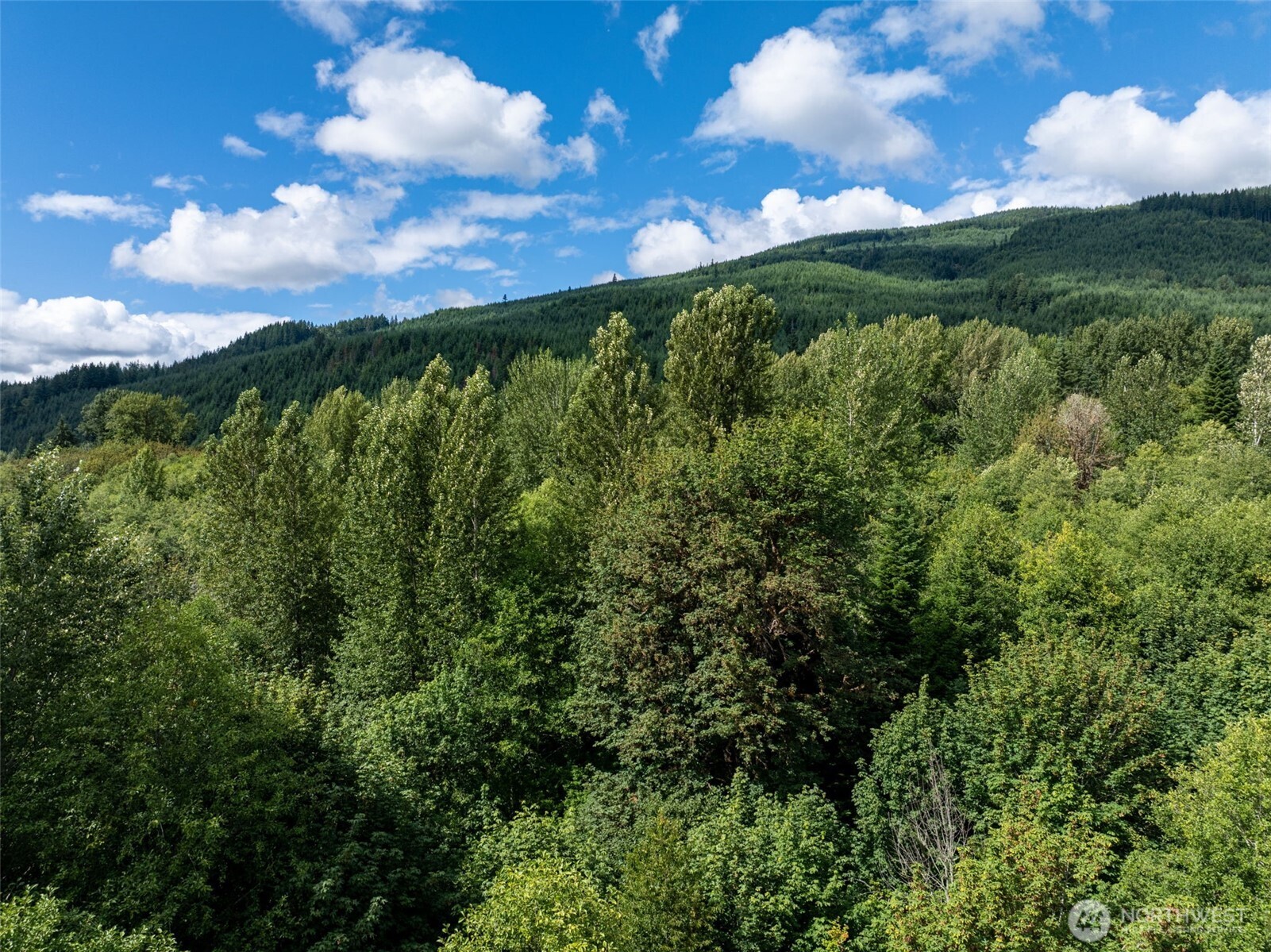 28901 State Route 706 Property Photo 15
