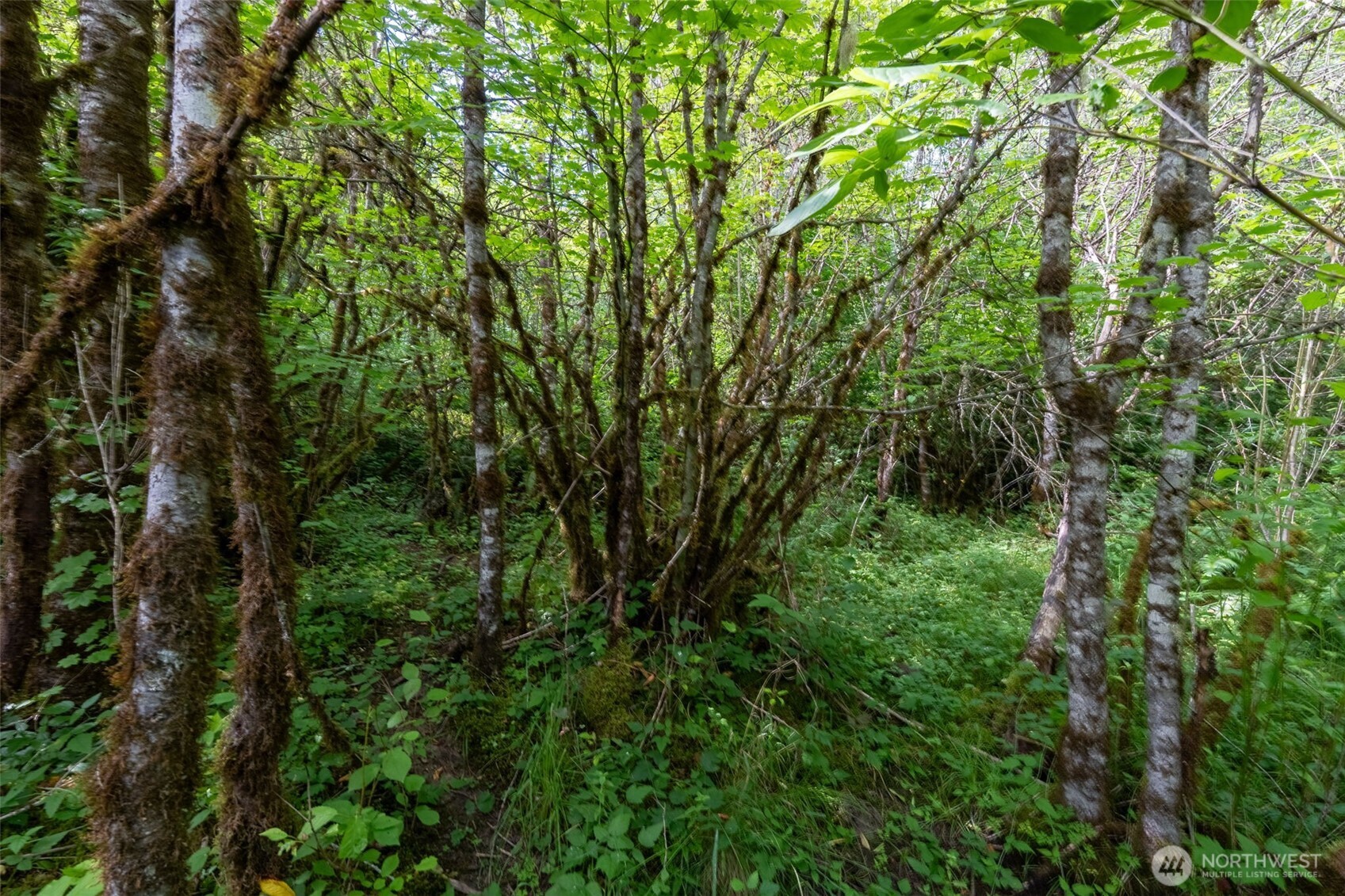 28901 State Route 706 Property Photo 22