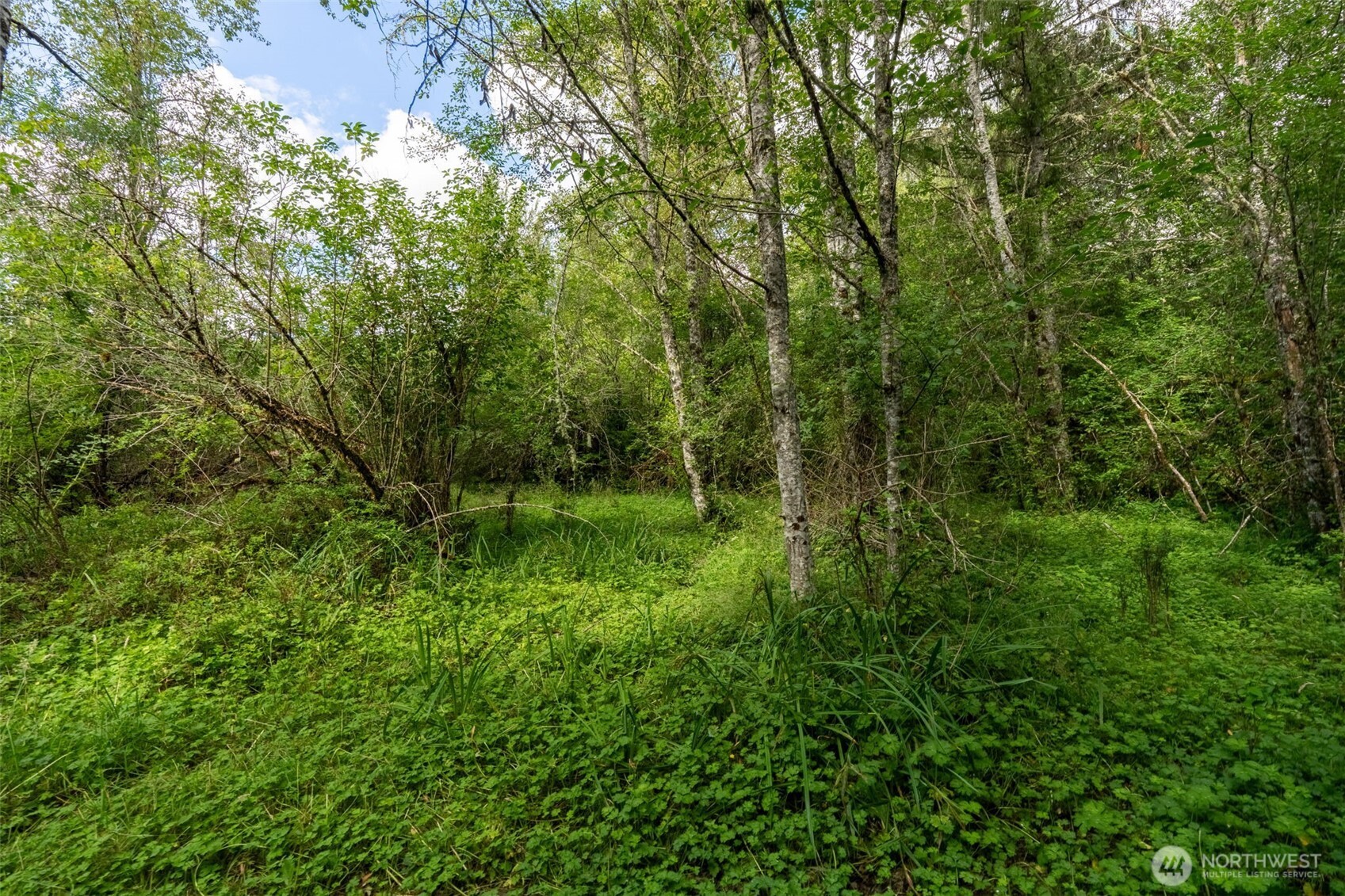 28901 State Route 706 Property Photo 23