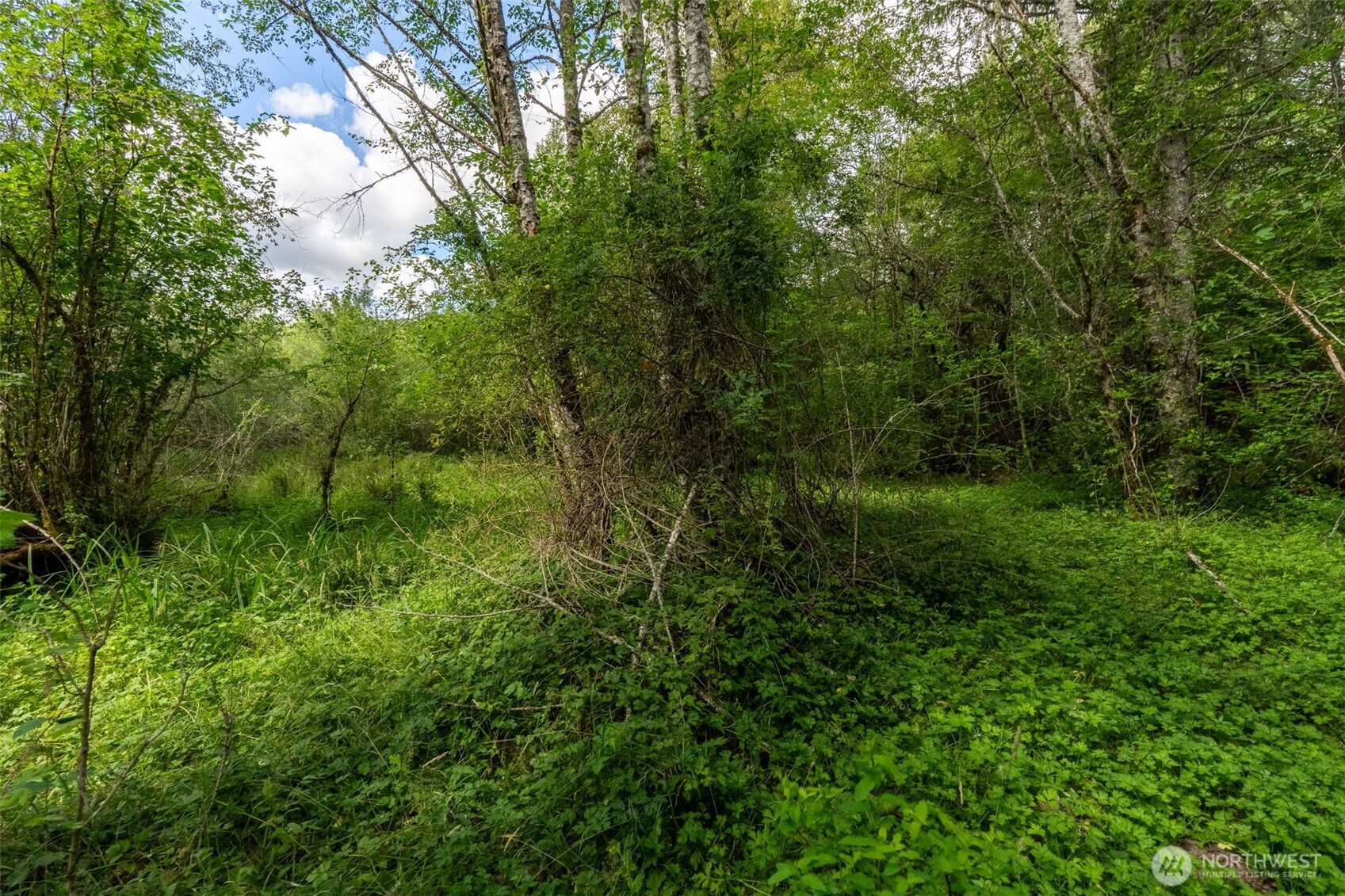 28901 State Route 706 Property Photo 24