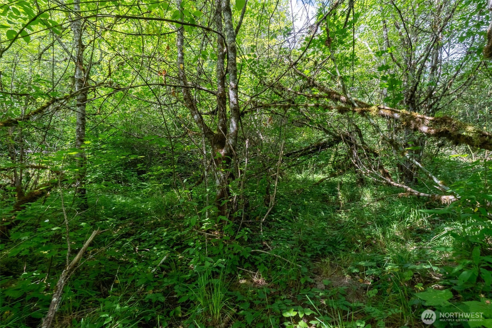28901 State Route 706 Property Photo 25