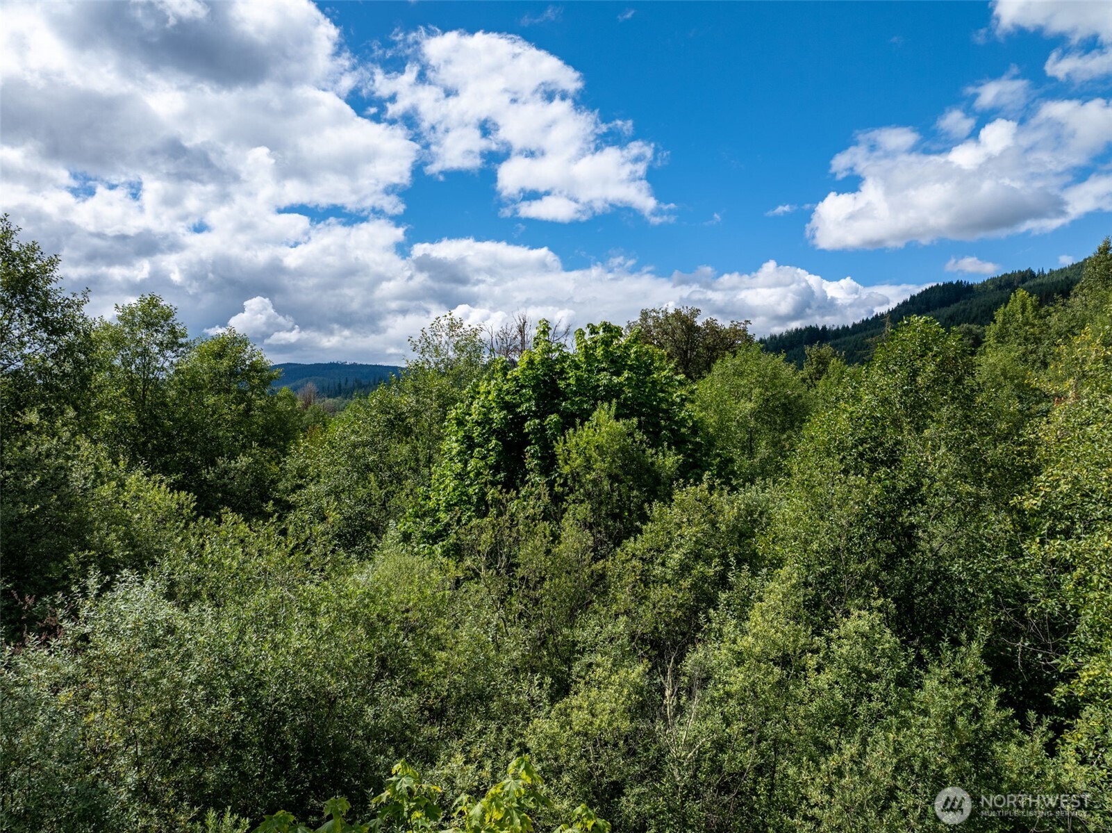 28901 State Route 706 Property Photo 26