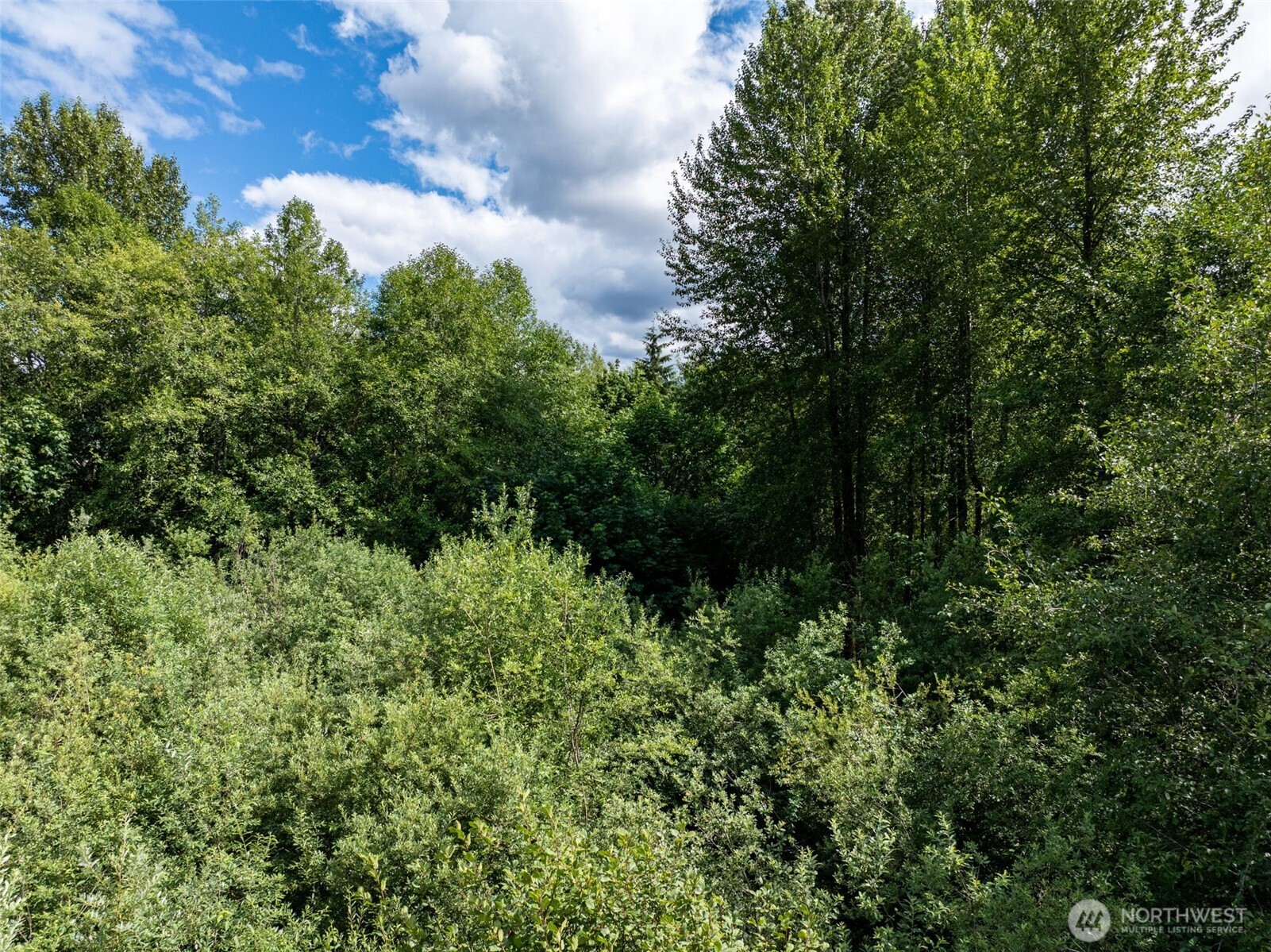 28901 State Route 706 Property Photo 27