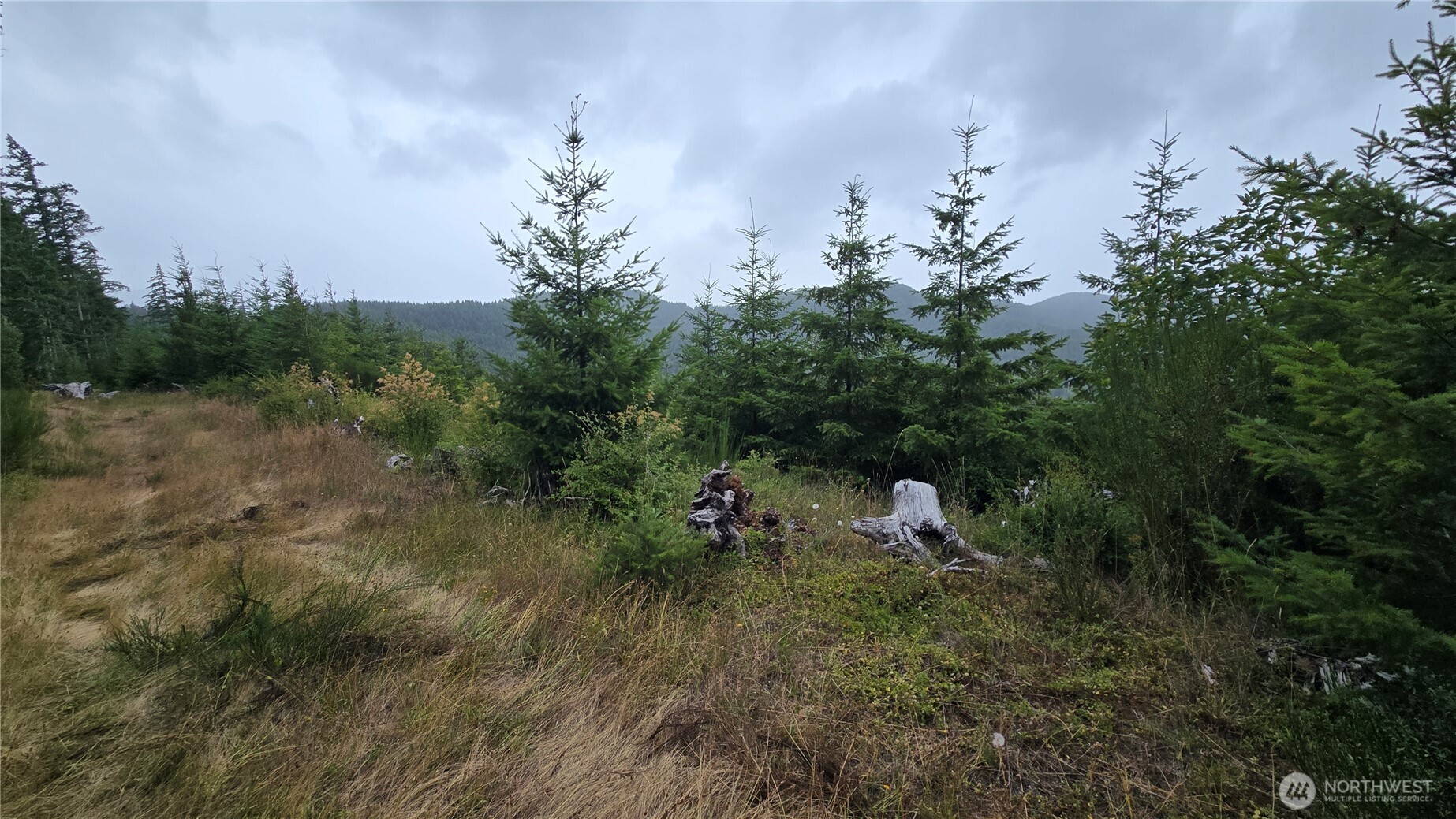 9207 Tract B Old Olympic Highway Property Photo 4