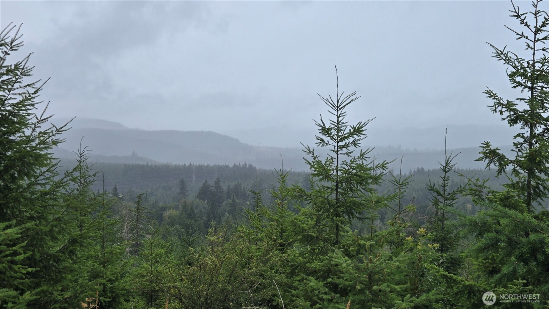 9207 Tract B Old Olympic Highway Property Photo 4