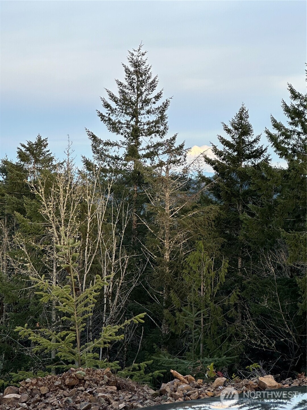 9207 Tract B Old Olympic Highway Property Photo 6