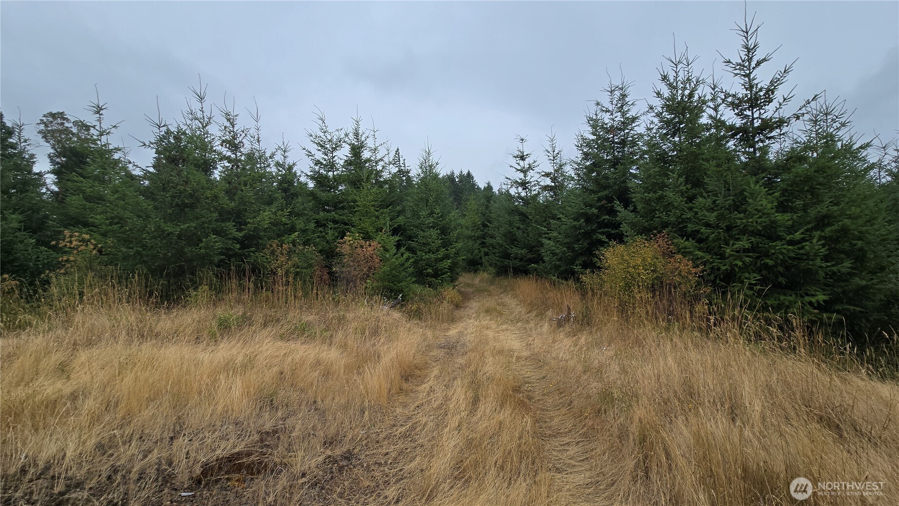 9207 Tract B Old Olympic Highway Property Photo 7