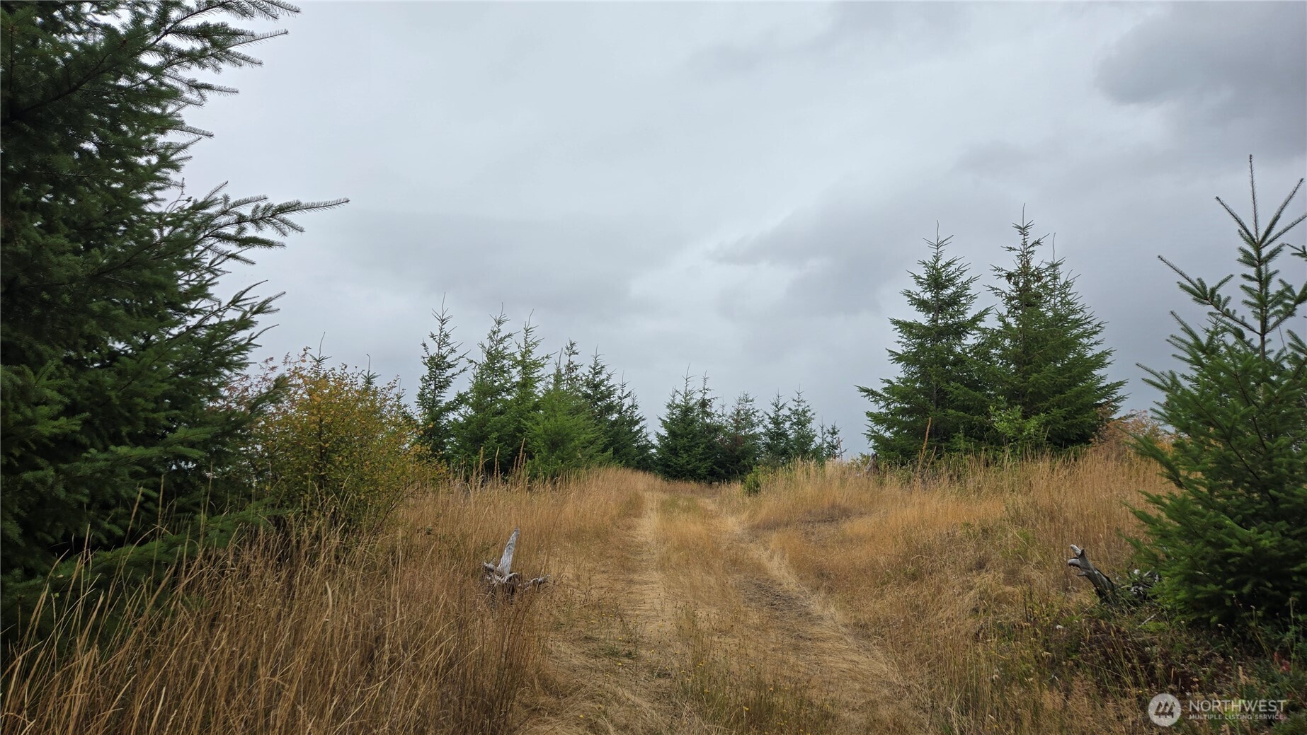 9207 Tract B Old Olympic Highway Property Photo 8