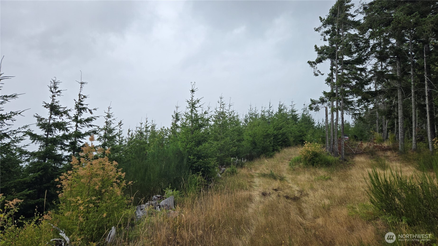 9207 Tract B Old Olympic Highway Property Photo 9