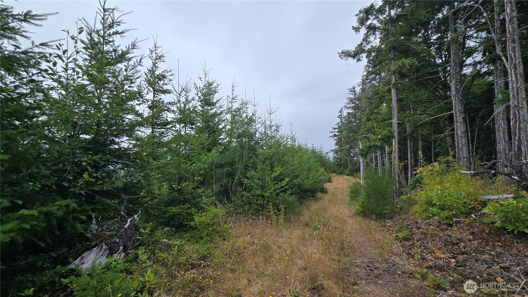 9207 Tract B Old Olympic Highway Property Photo 9