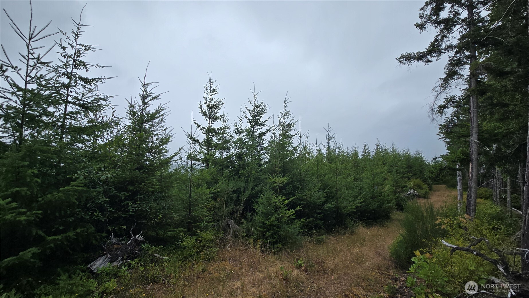 9207 Tract B Old Olympic Highway Property Photo 11