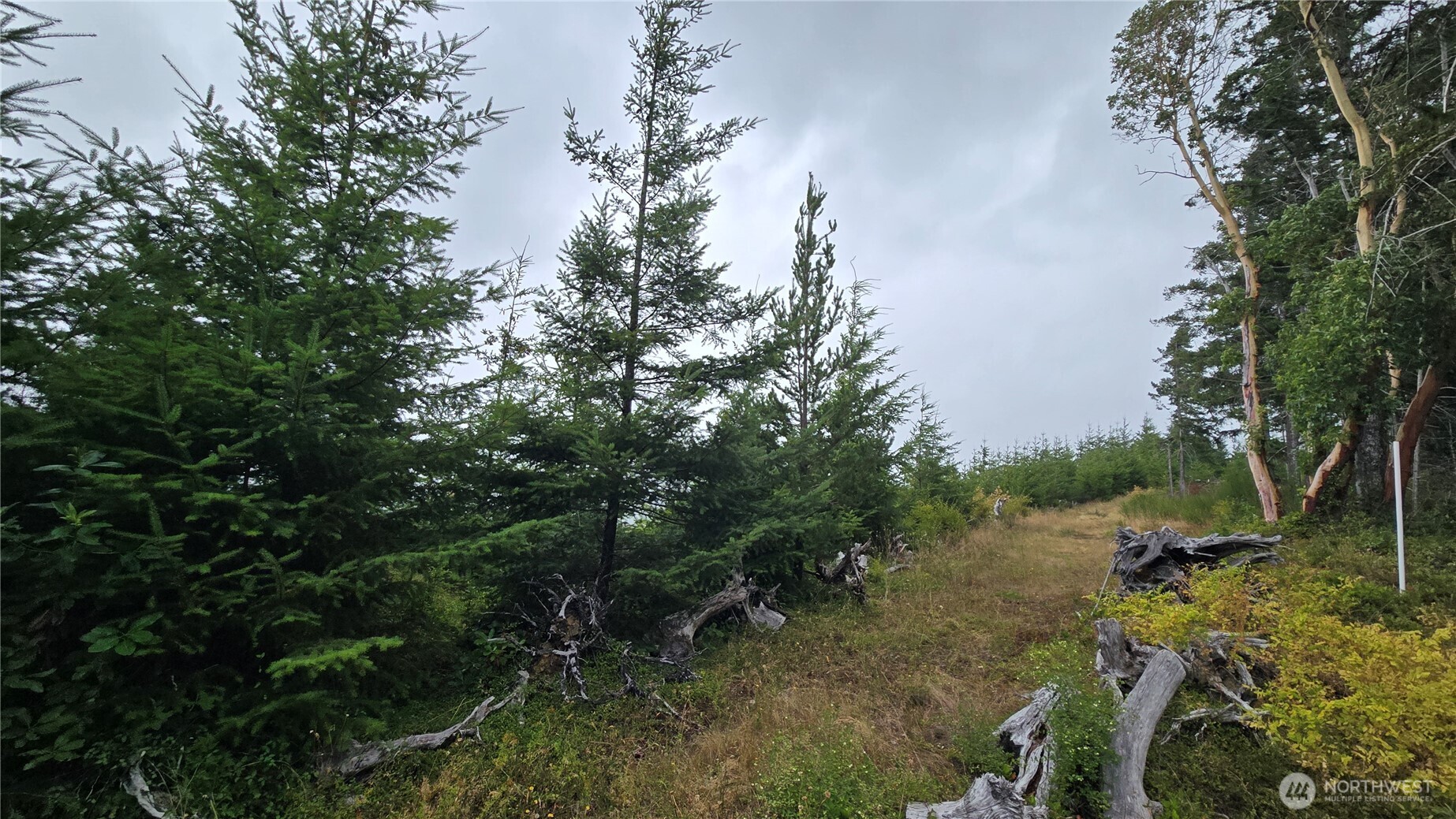 9207 Tract B Old Olympic Highway Property Photo 11