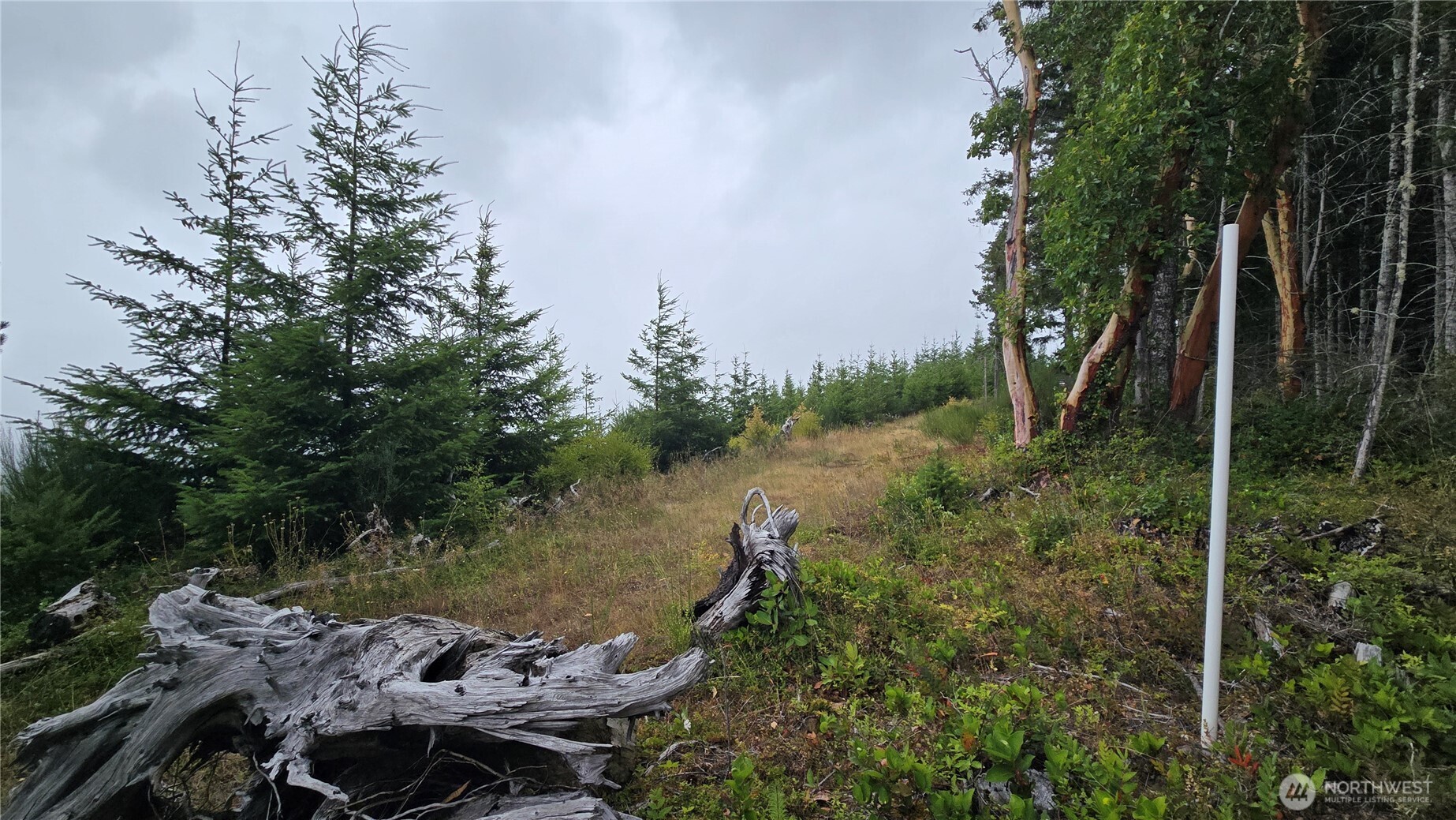 9207 Tract B Old Olympic Highway Property Photo 12