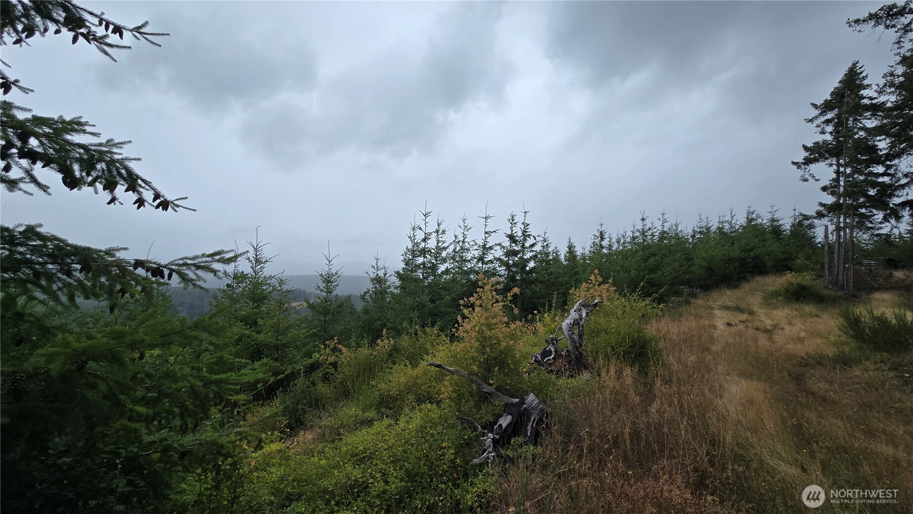 9207 Tract B Old Olympic Highway Property Photo 13