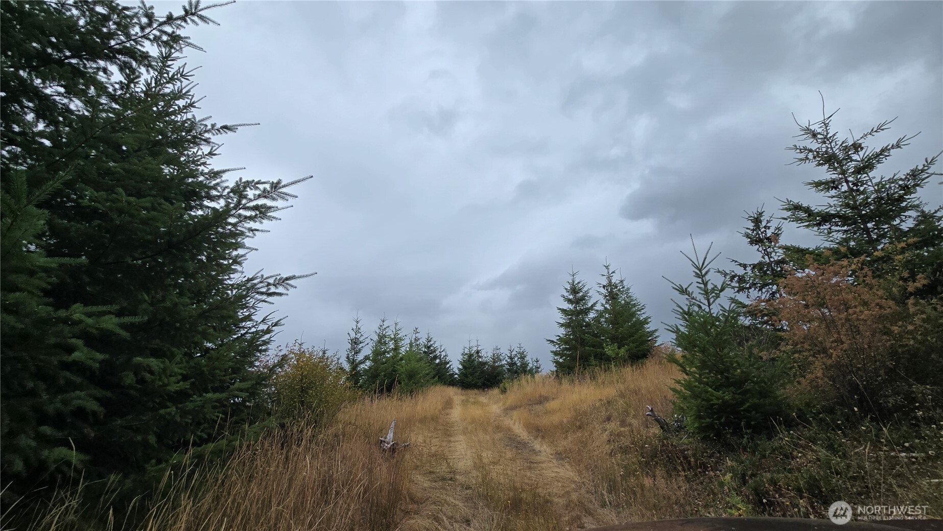 9207 Tract B Old Olympic Highway Property Photo 14