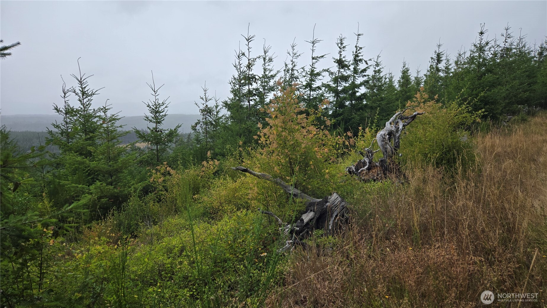 9207 Tract B Old Olympic Highway Property Photo 14