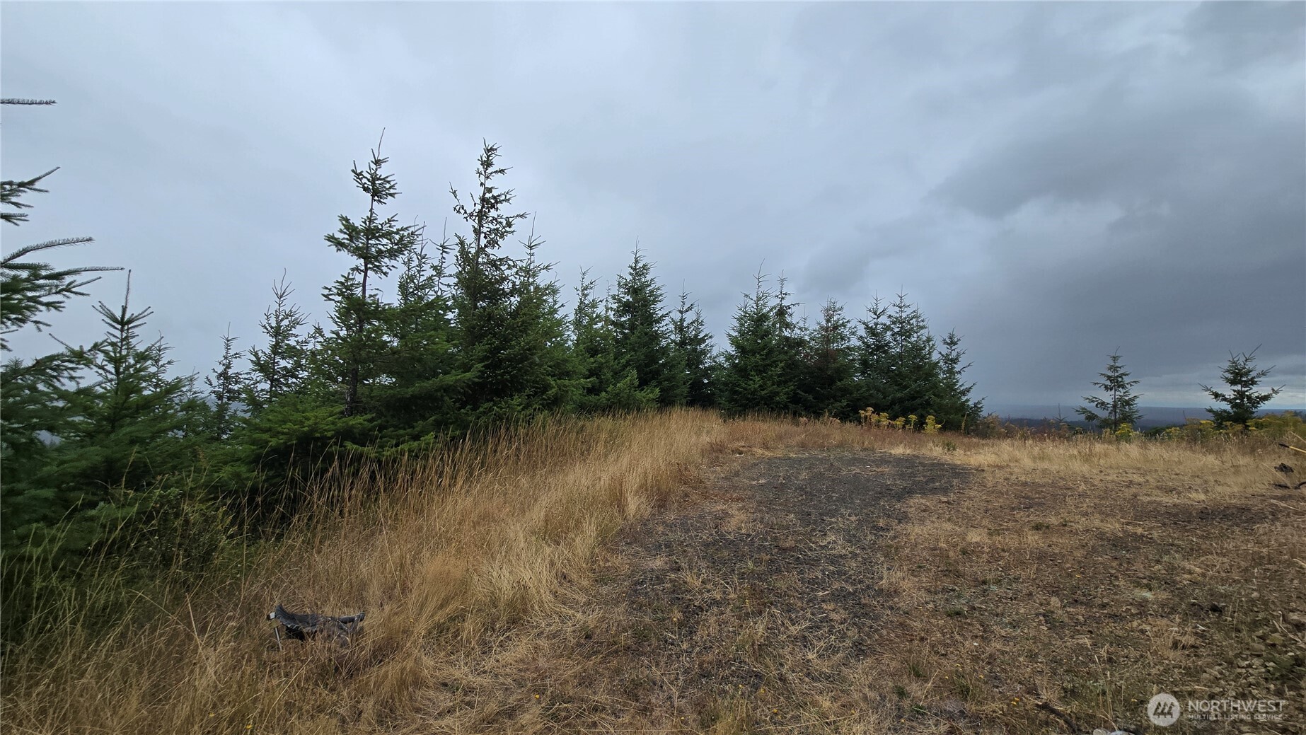 9207 Tract B Old Olympic Highway Property Photo 16
