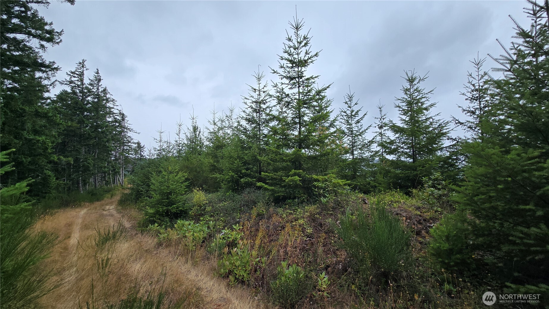 9207 Tract B Old Olympic Highway Property Photo 16