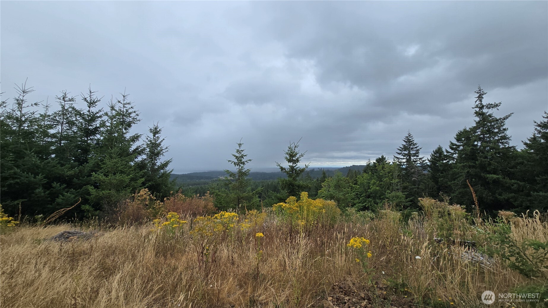9207 Tract B Old Olympic Highway Property Photo 17