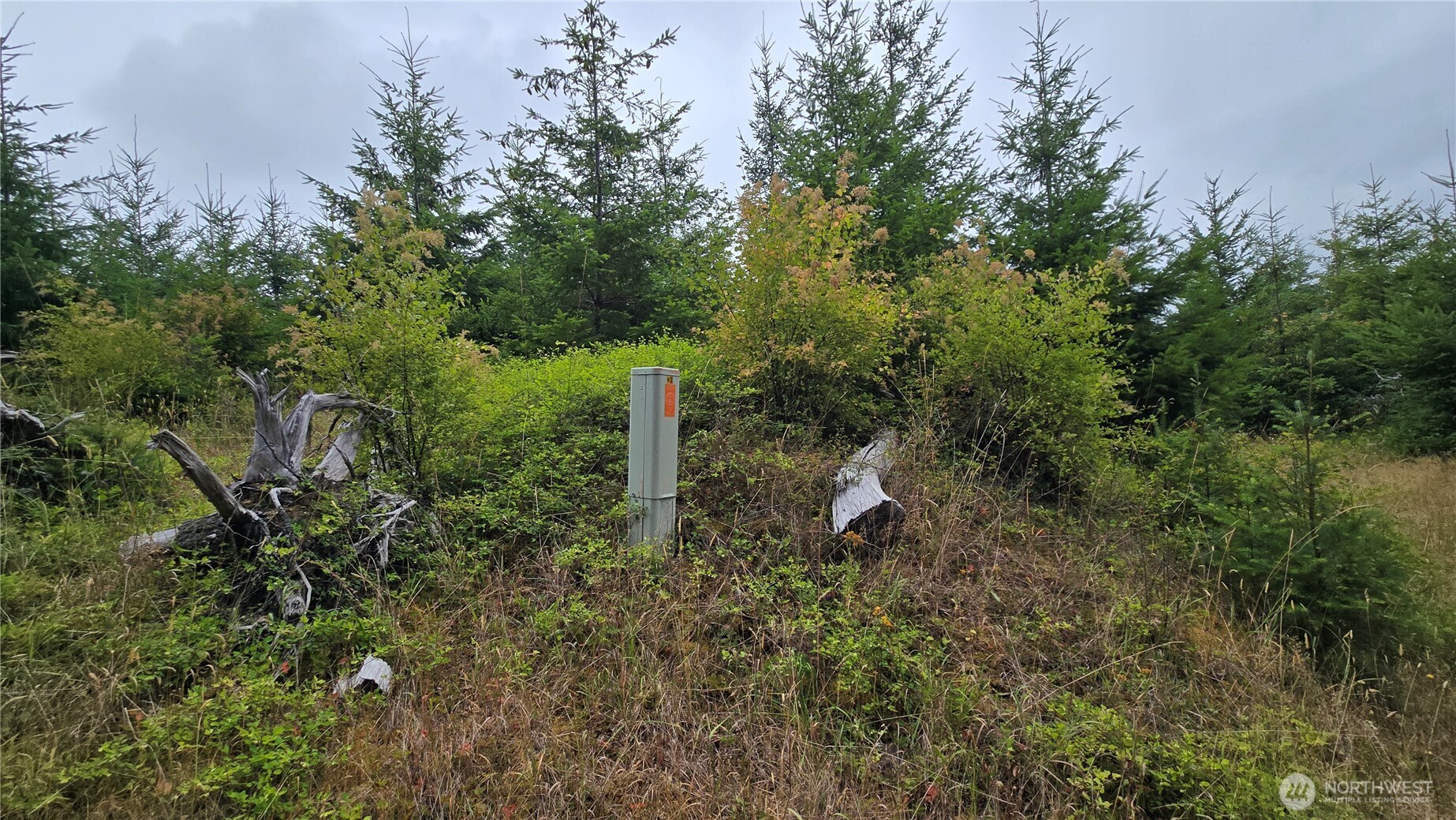 9207 Tract B Old Olympic Highway Property Photo 18