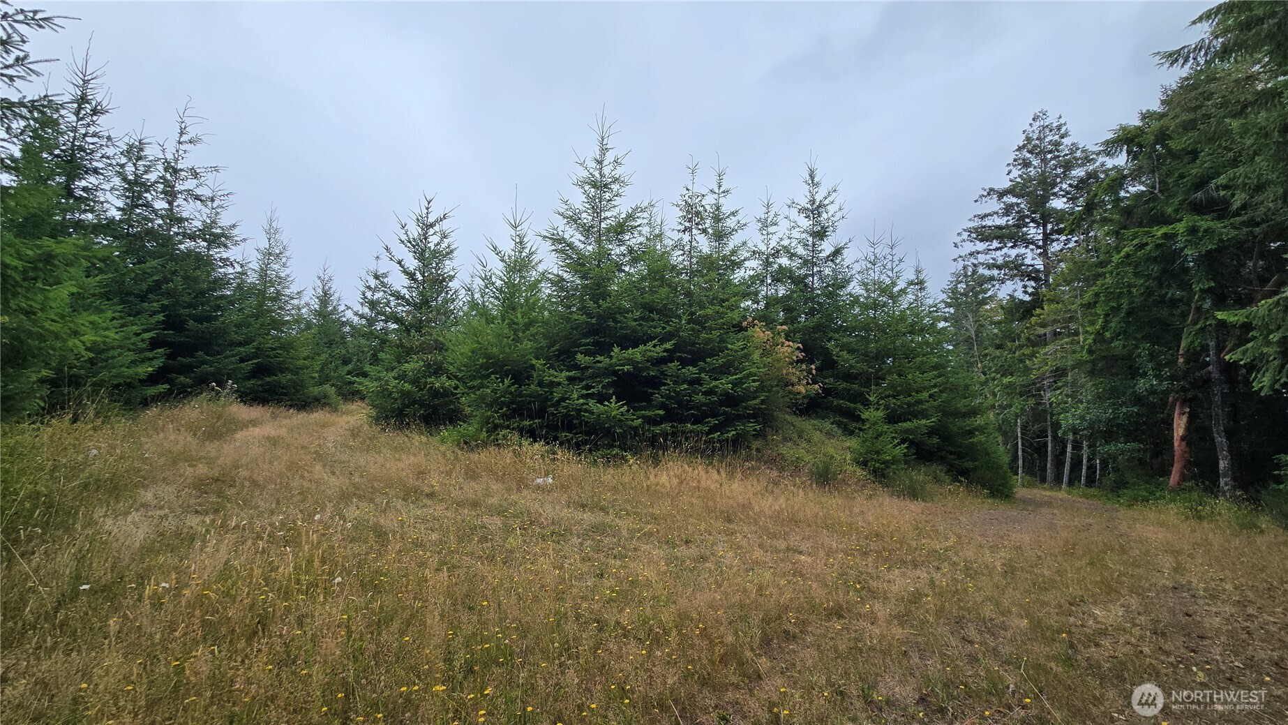 9207 Tract B Old Olympic Highway Property Photo 19