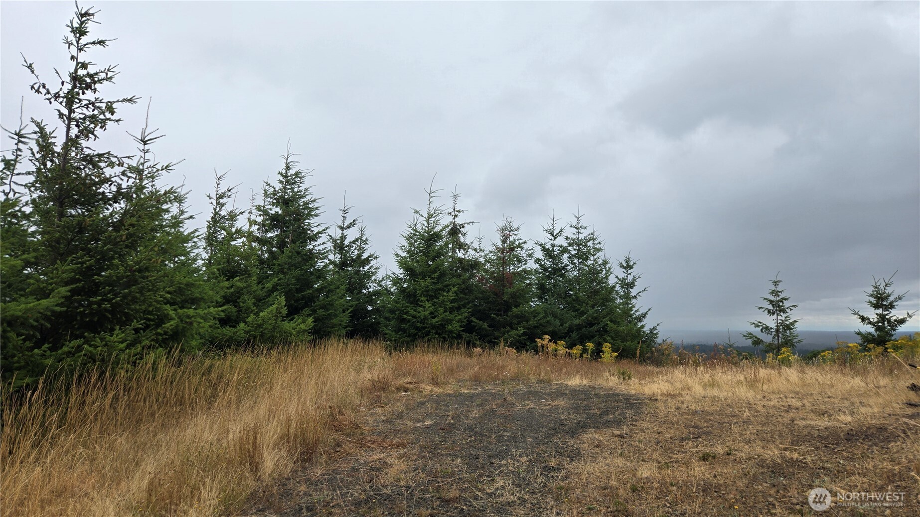 9207 Tract B Old Olympic Highway Property Photo 21
