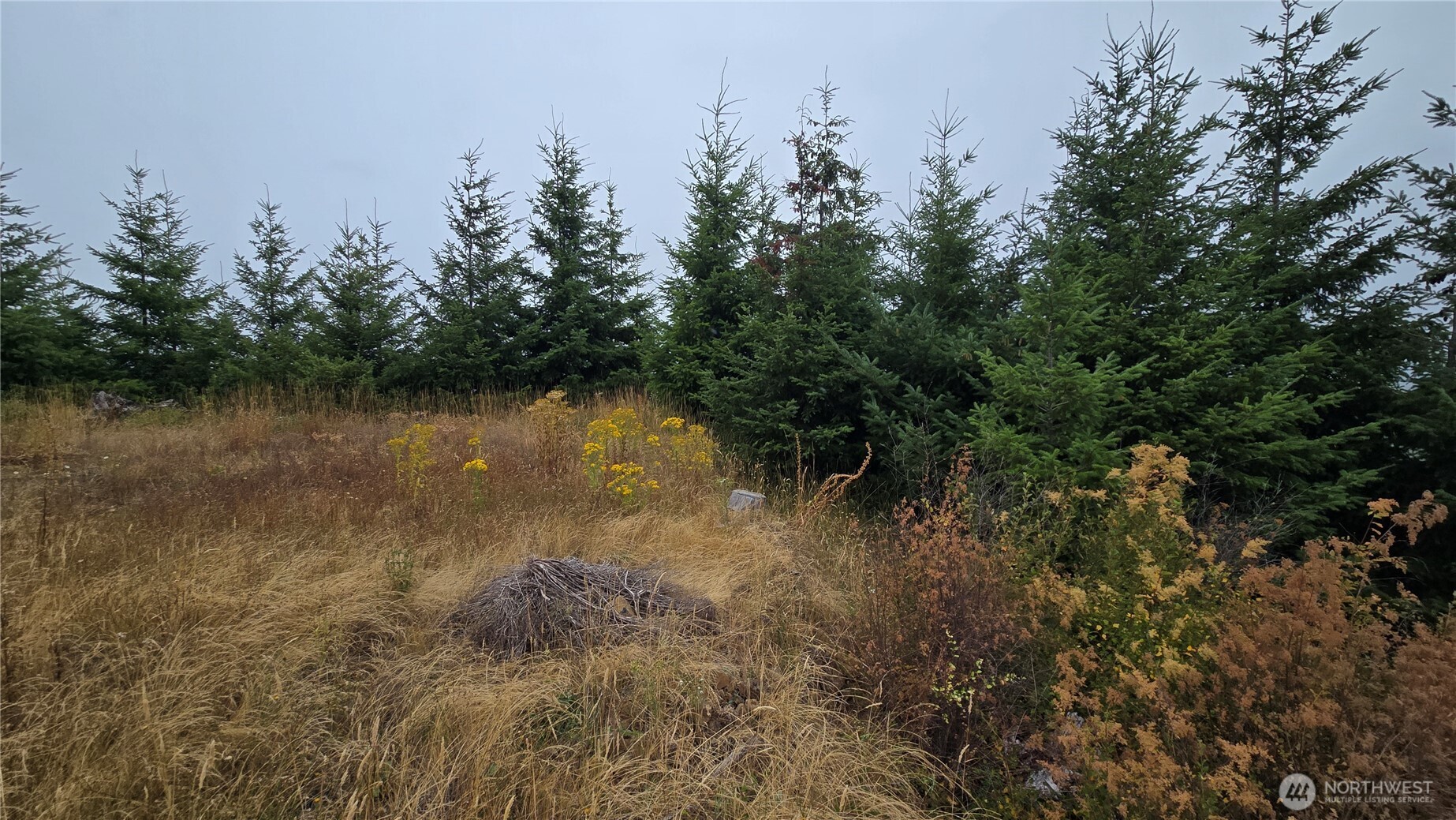 9207 Tract B Old Olympic Highway Property Photo 27