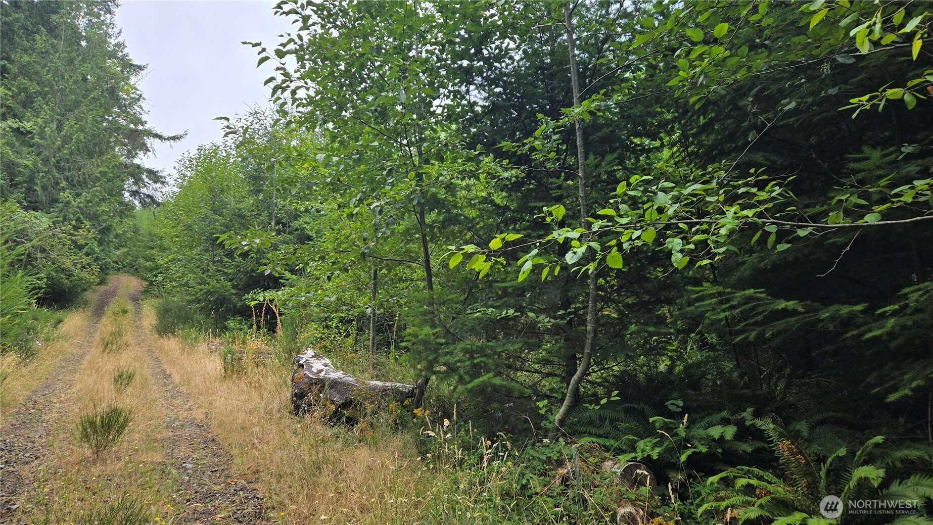9207 Tract B Old Olympic Highway Property Photo 28