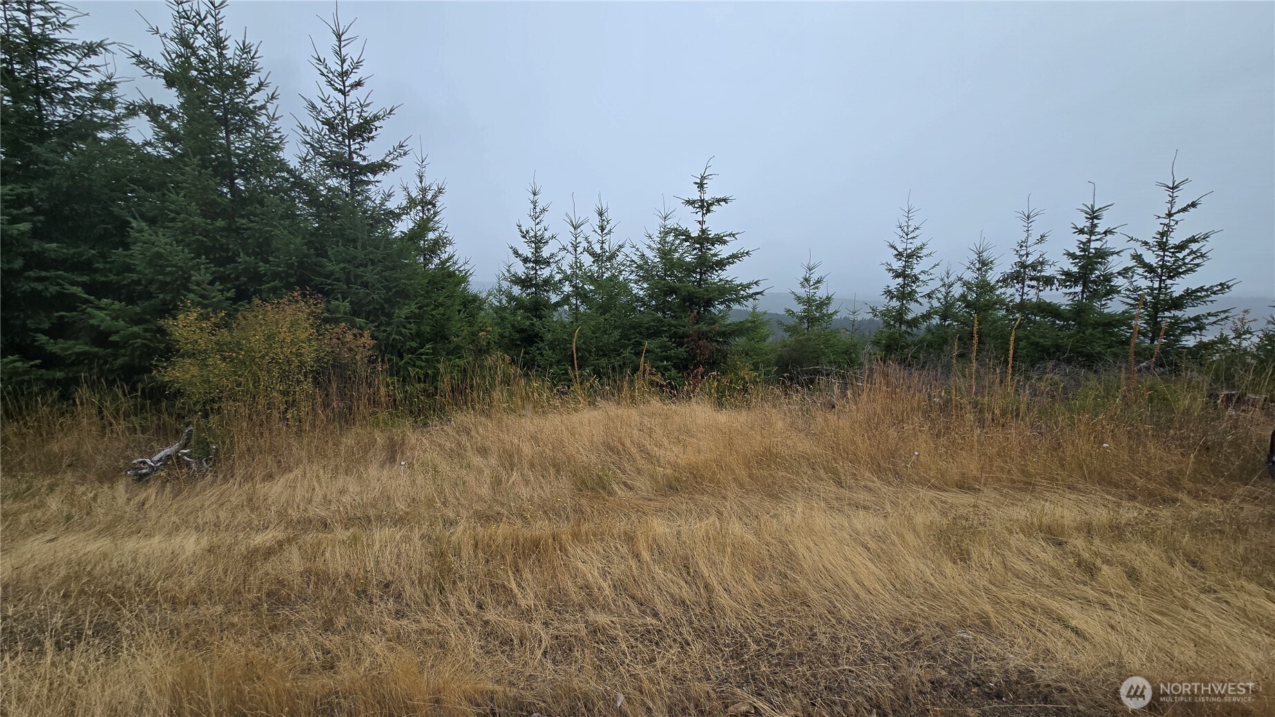 9207 Tract B Old Olympic Highway Property Photo 28