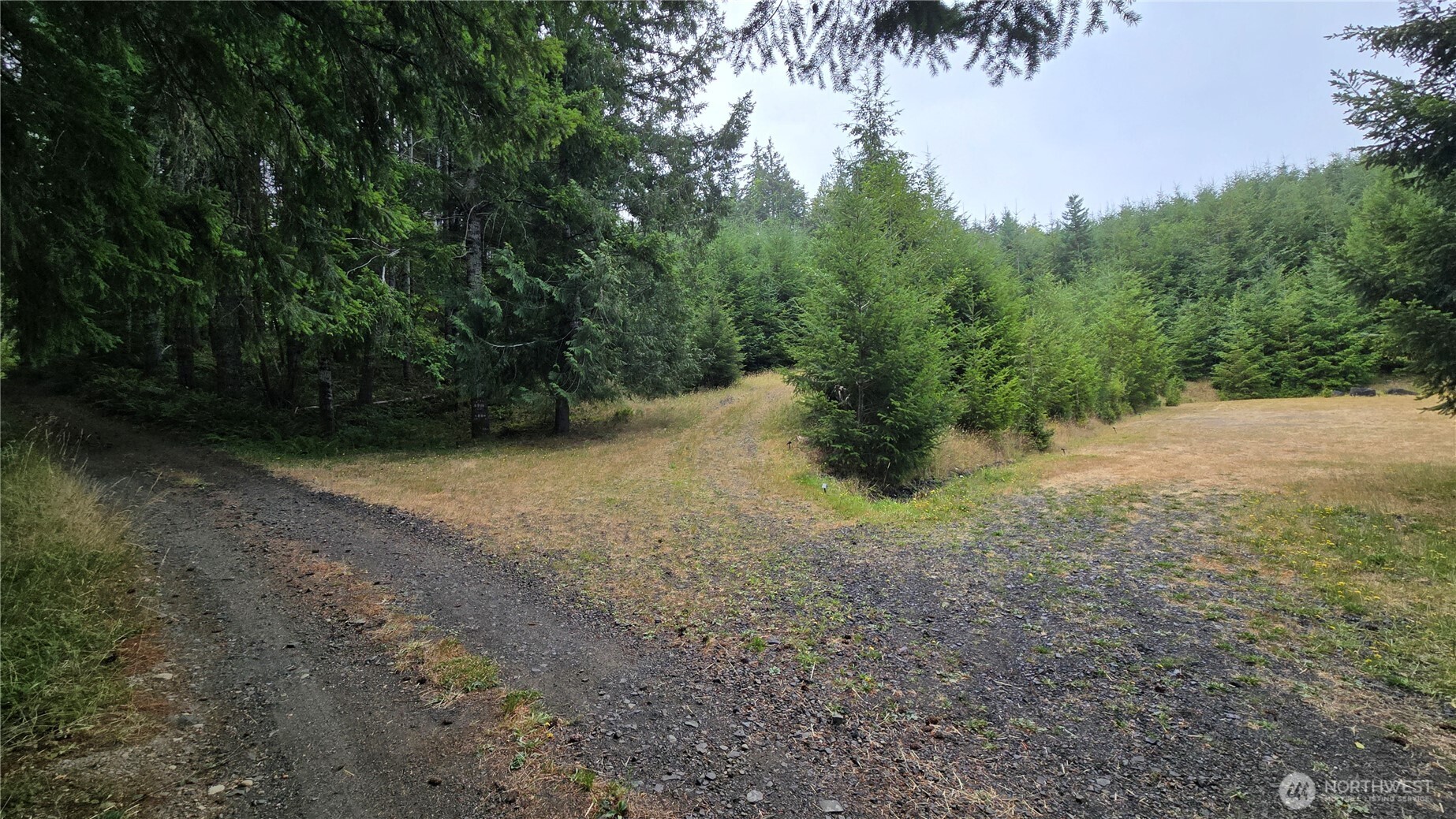 9207 Tract B Old Olympic Highway Property Photo 29