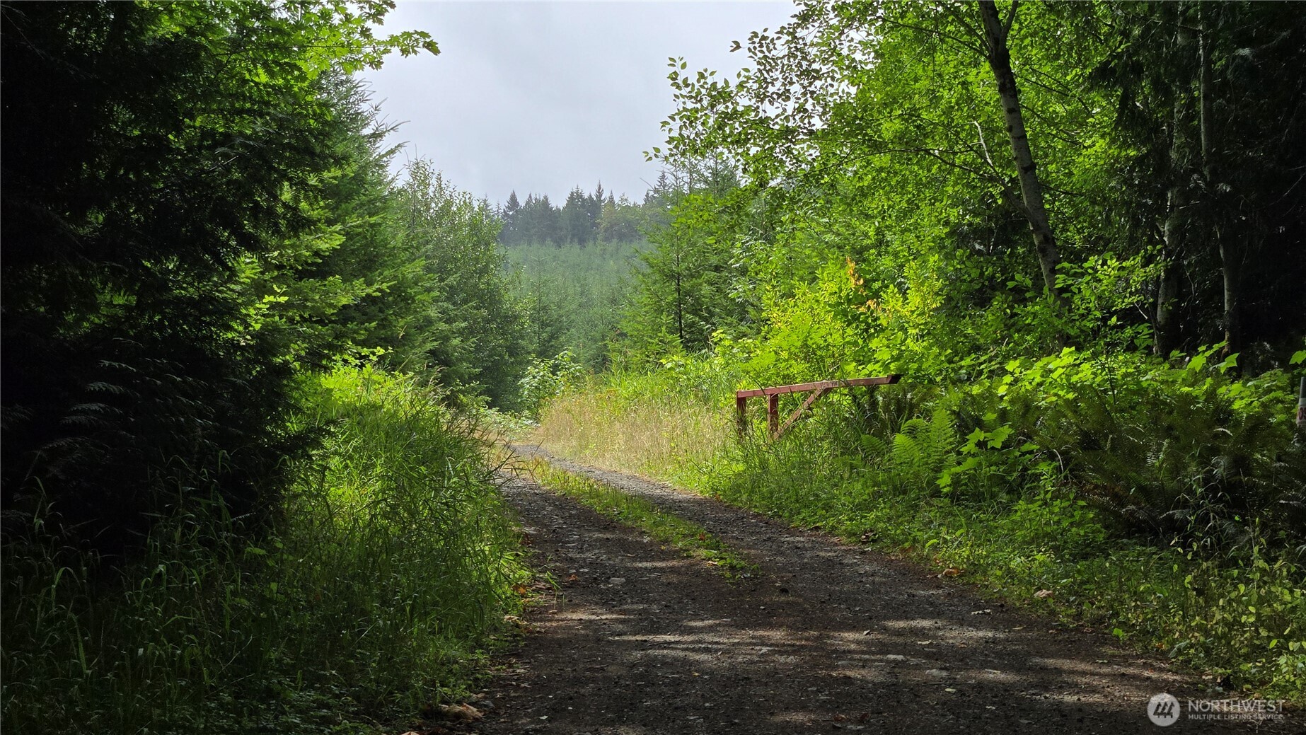 9207 Tract B Old Olympic Highway Property Photo 34