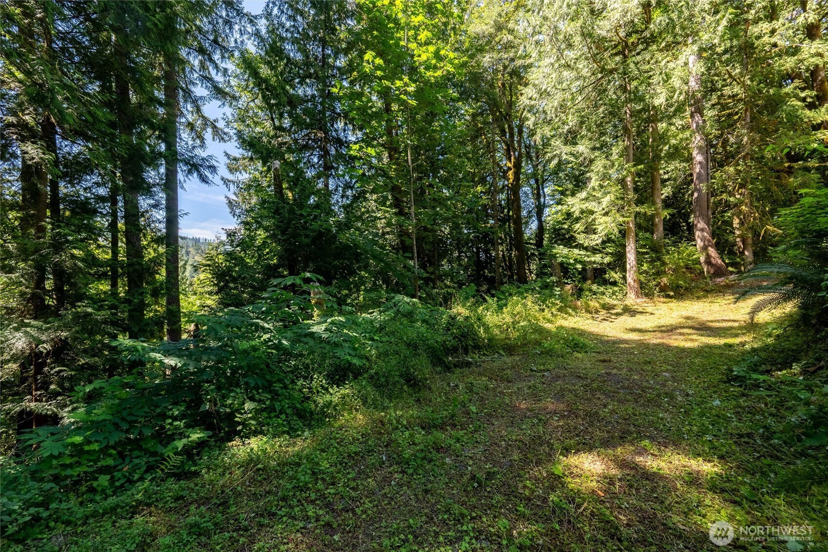 9075 Upper Frost Creek Road Property Photo 21