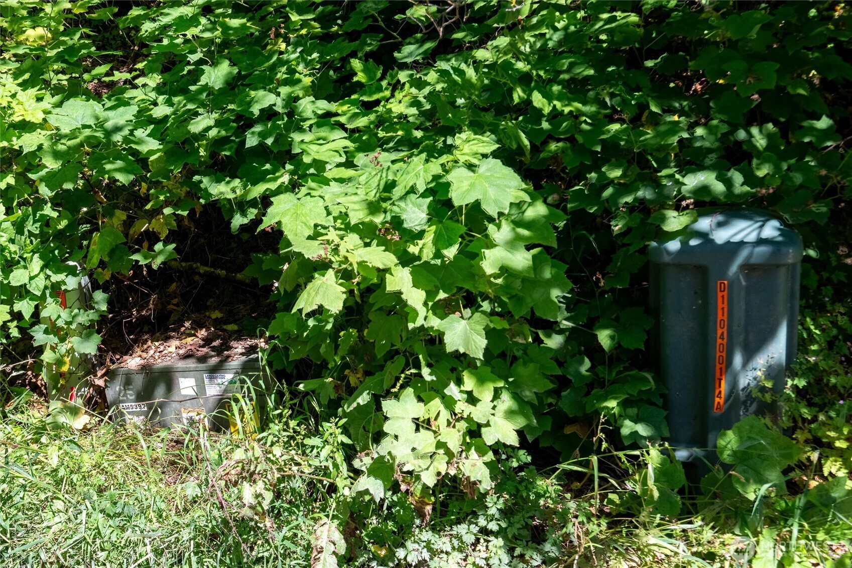 9075 Upper Frost Creek Road Property Photo 27