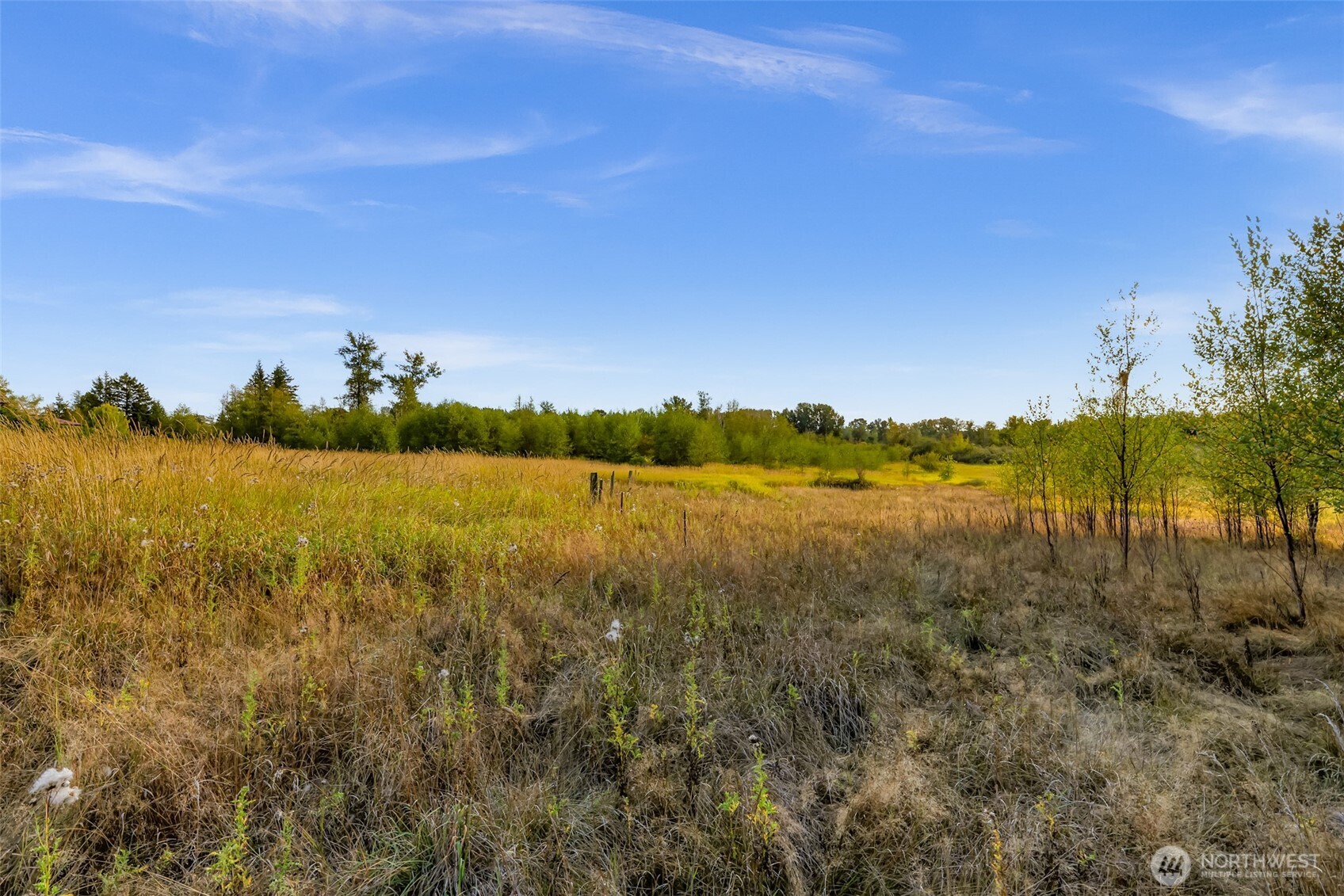 7549 Kickerville Road Property Photo 31