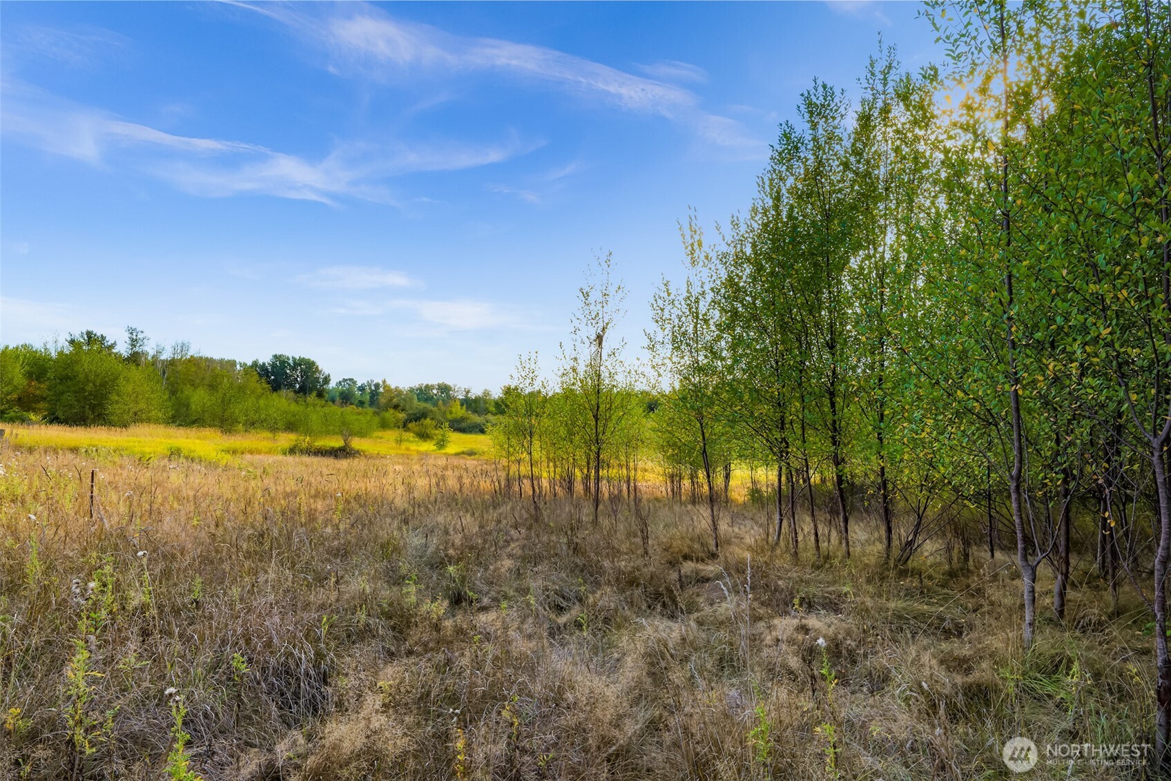 7549 Kickerville Road Property Photo 32