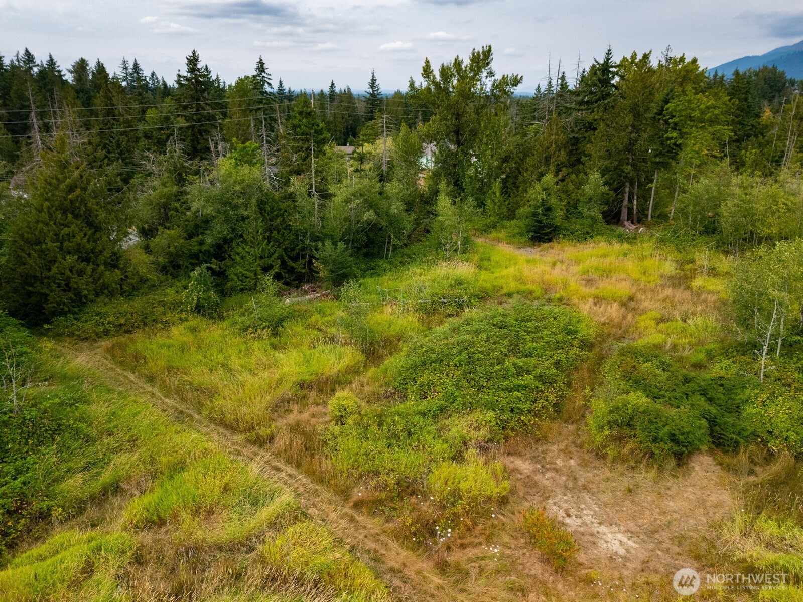 3100 Mount Baker Highway Property Photo 27