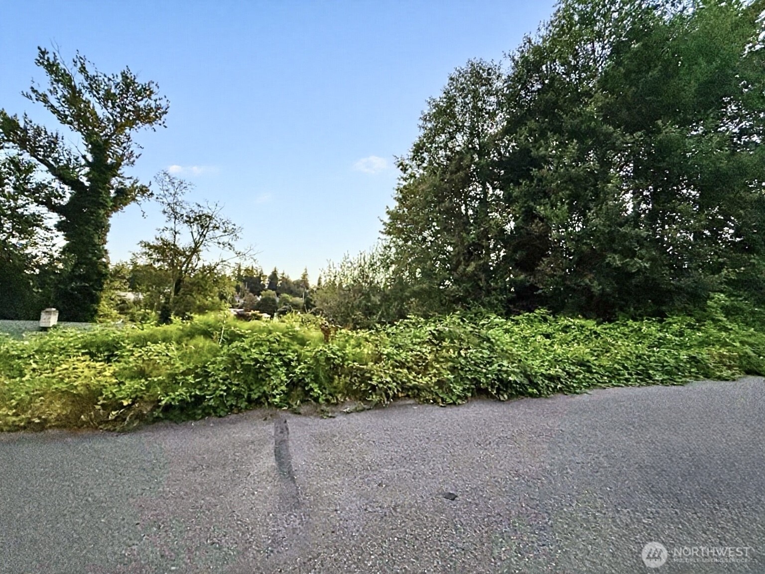 20437 13th Avenue Property Photo 2