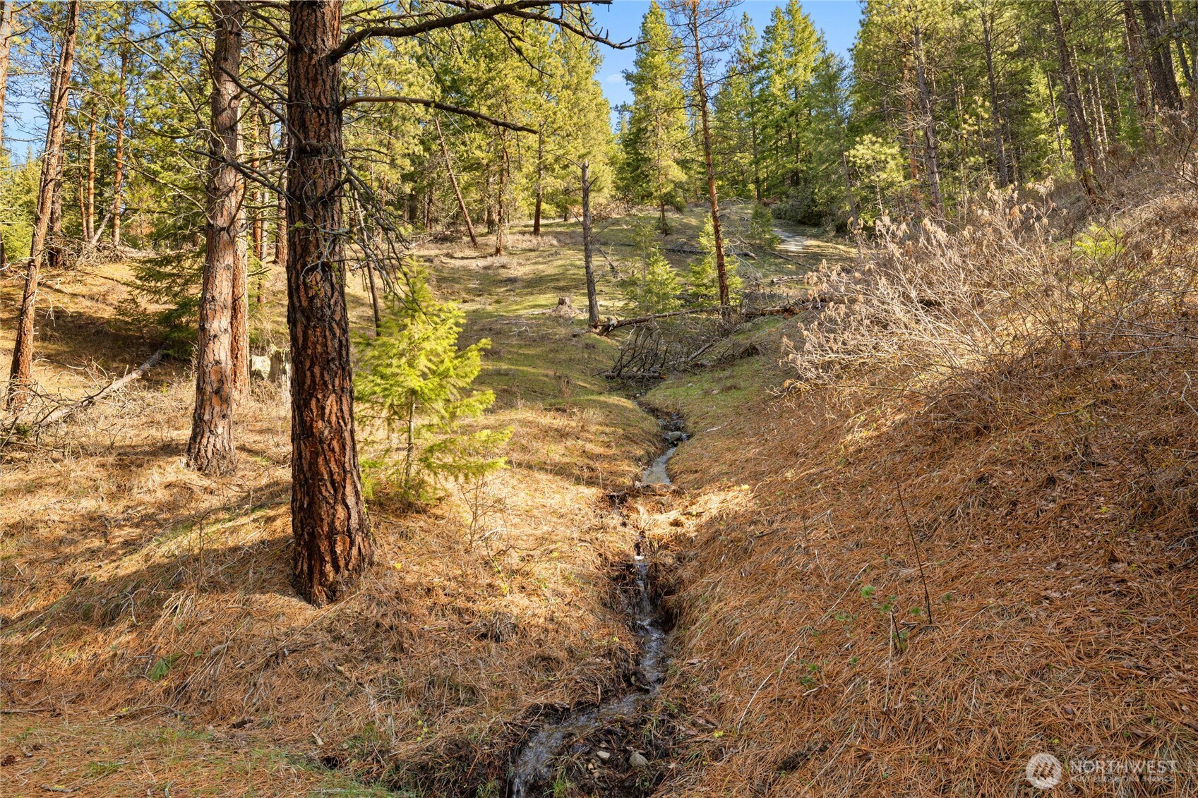 5910 Teanaway Road Property Photo 34