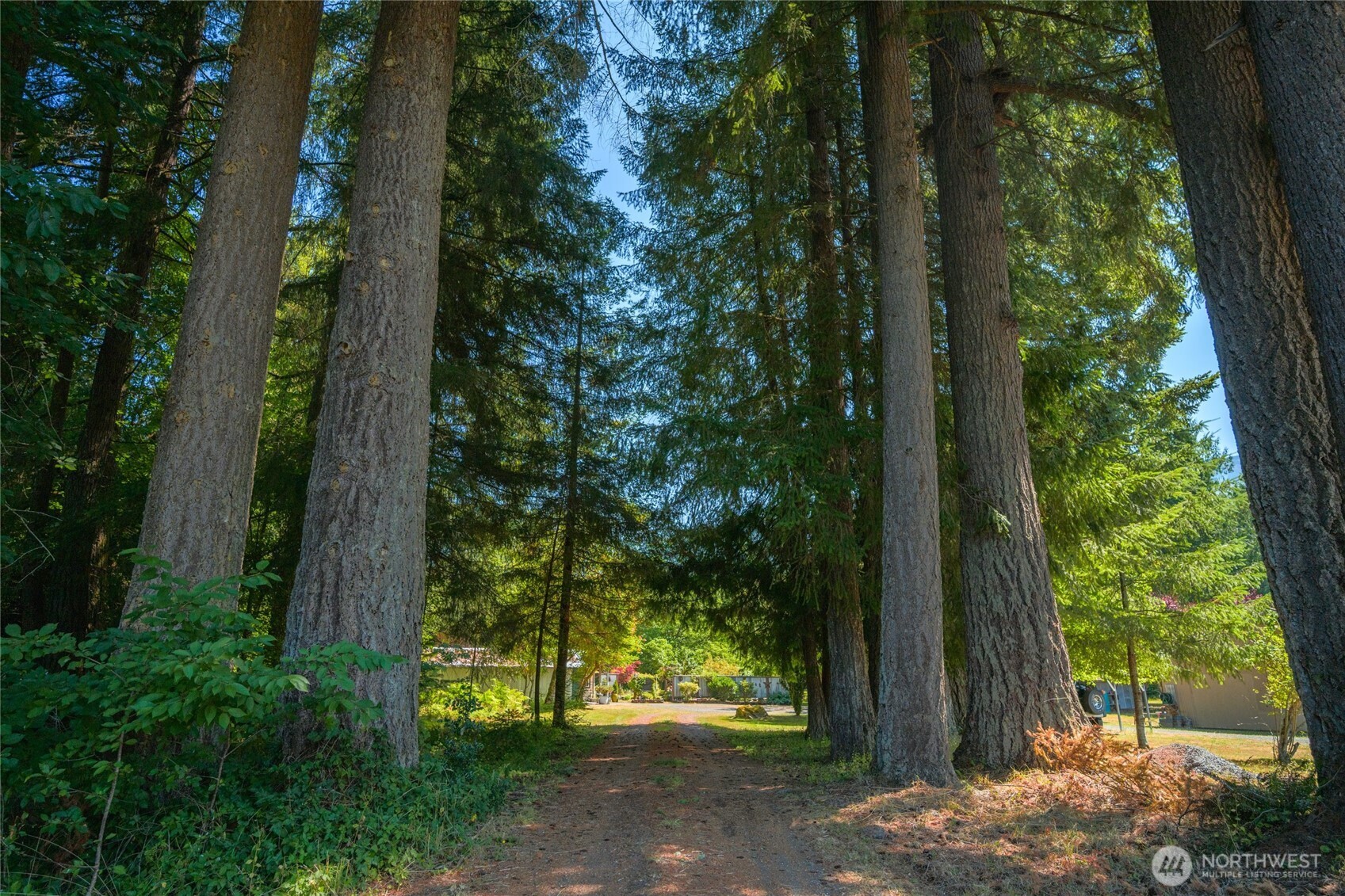 5430 Mosquito Lake Road Property Photo 27