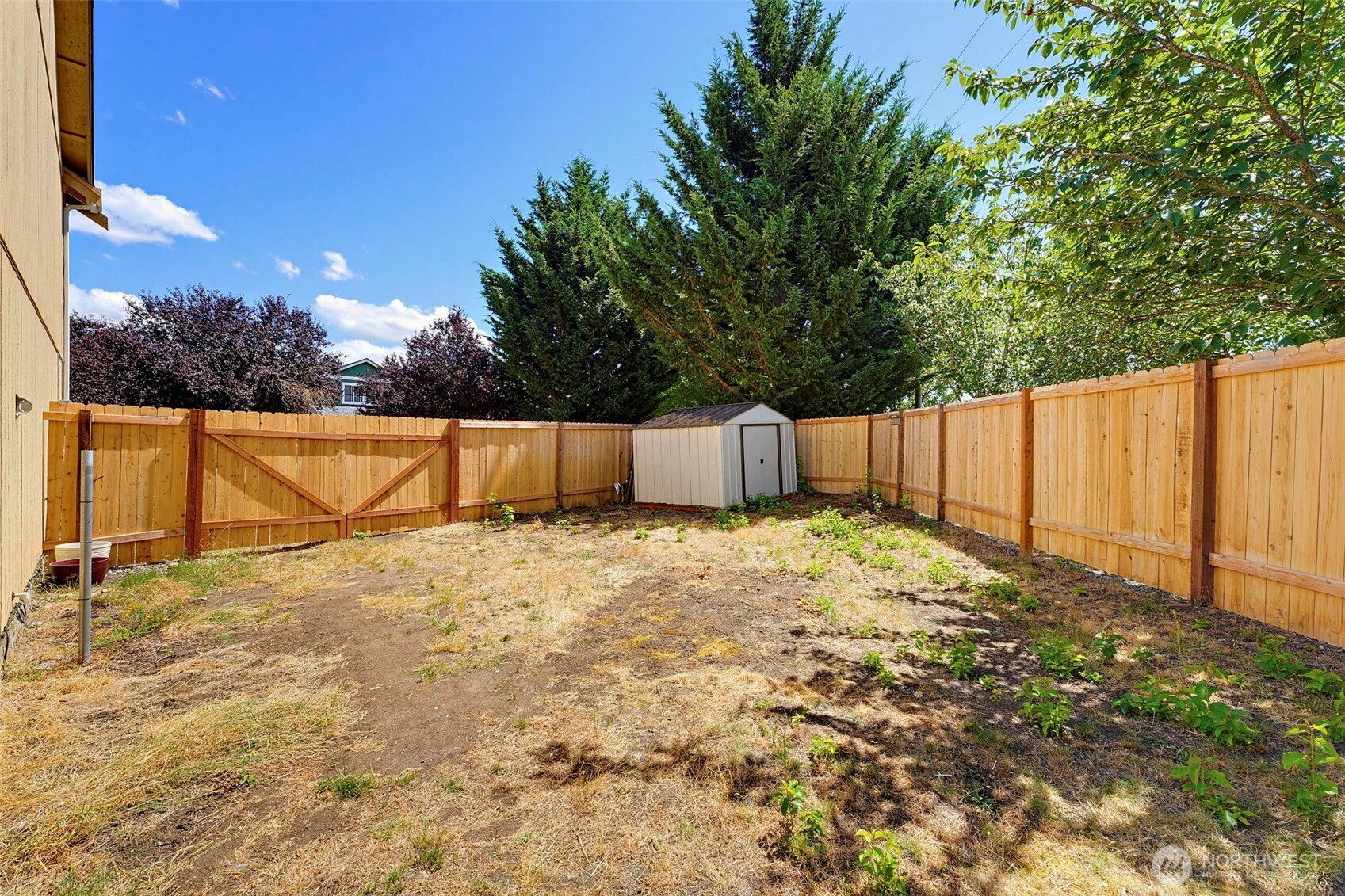 9229 Carys Street Property Photo 30