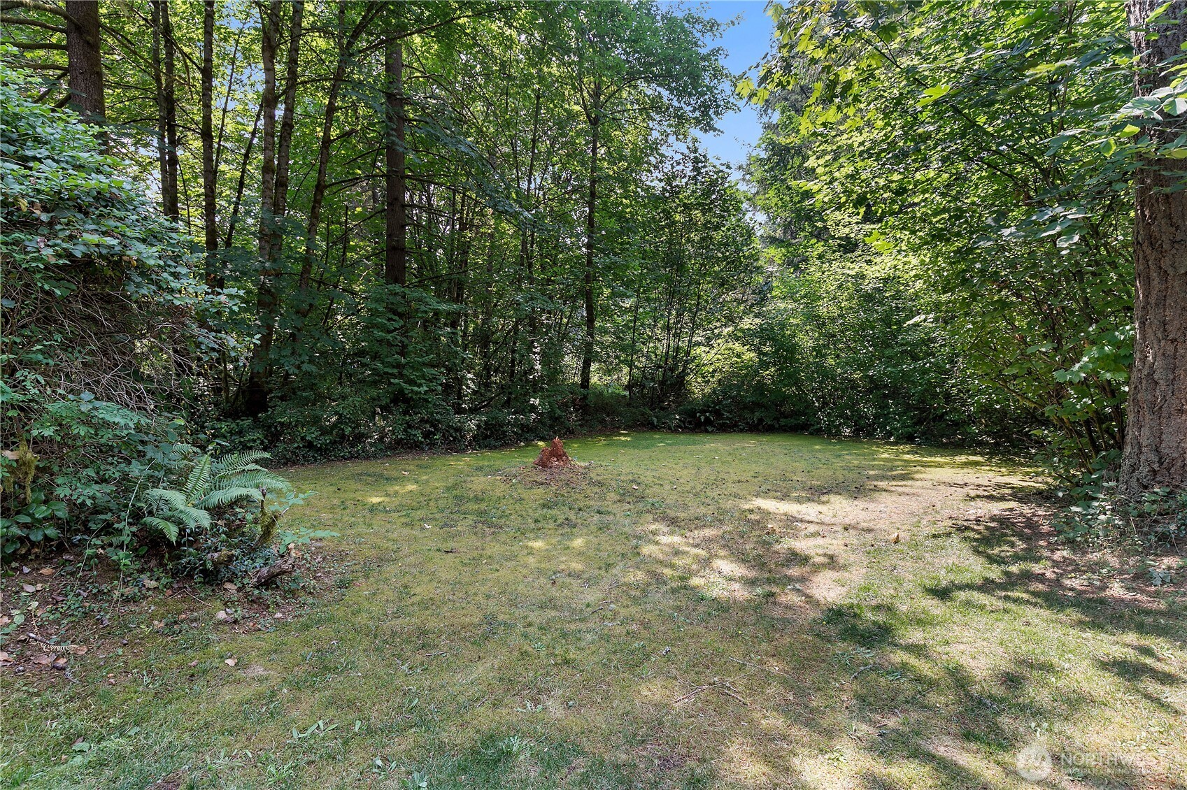 9727 Case Road Property Photo 17
