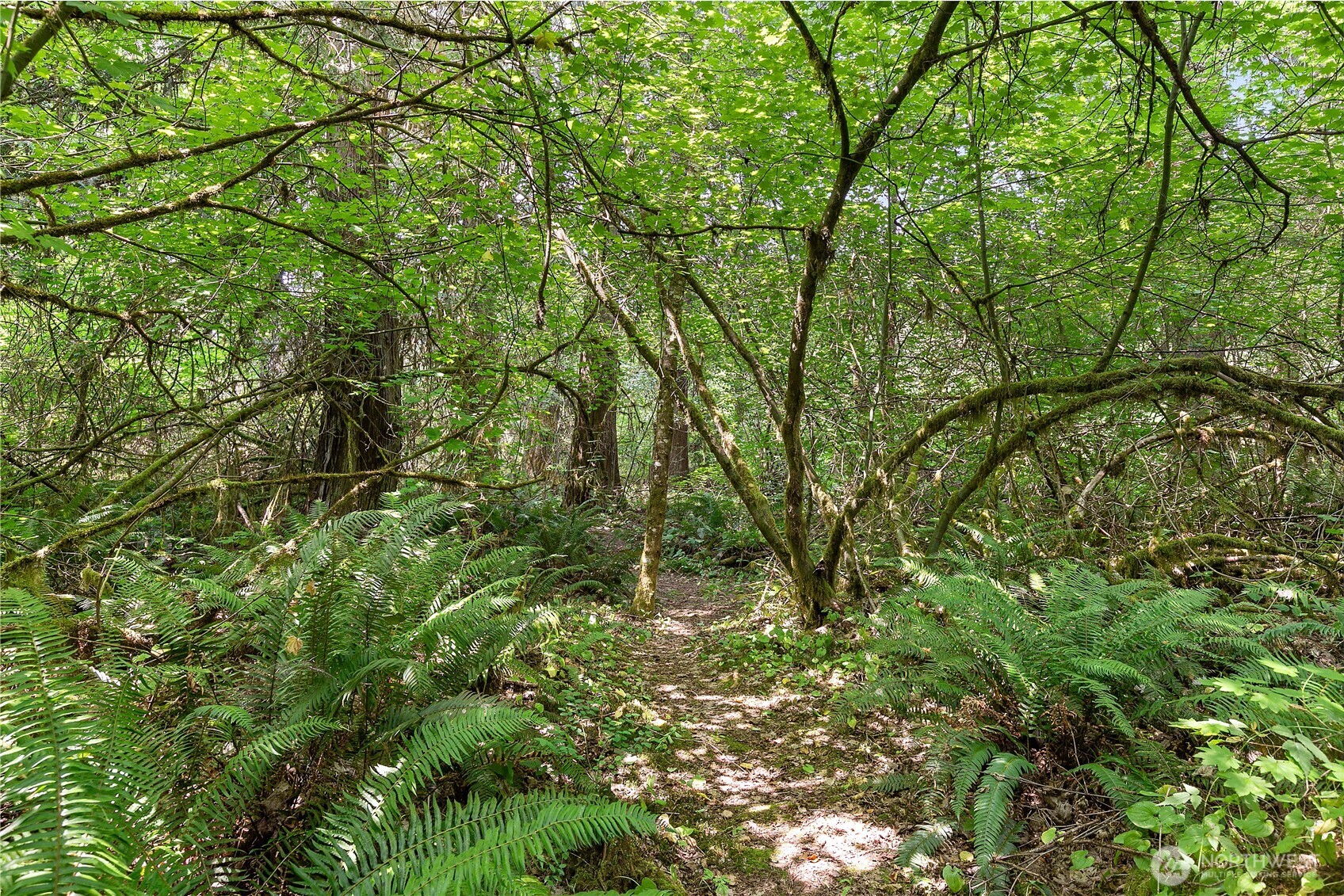 9727 Case Road Property Photo 19
