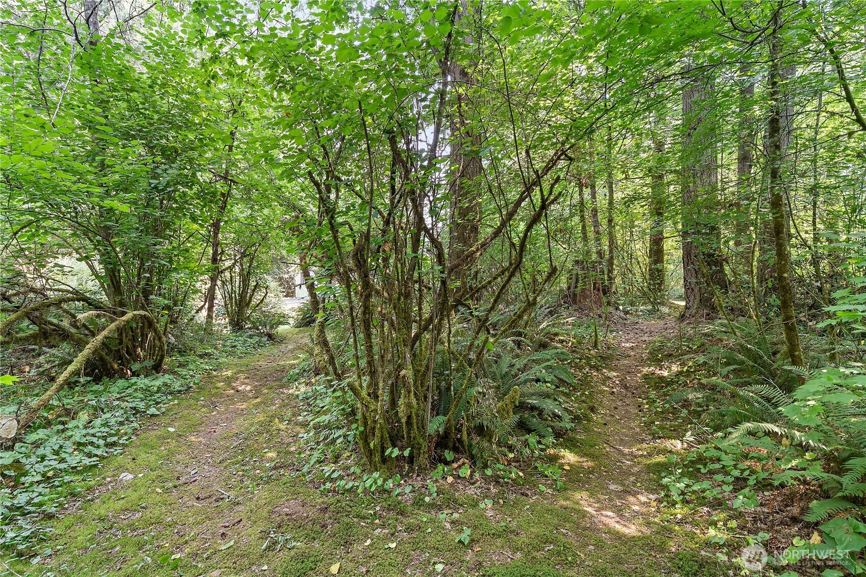 9727 Case Road Property Photo 20
