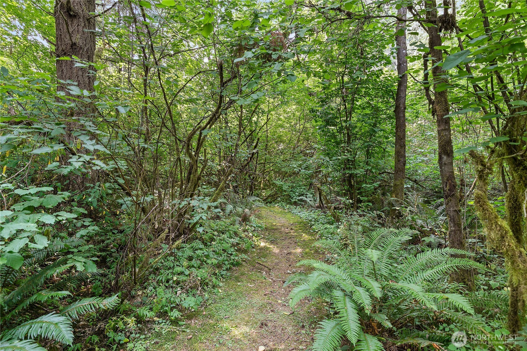 9727 Case Road Property Photo 21